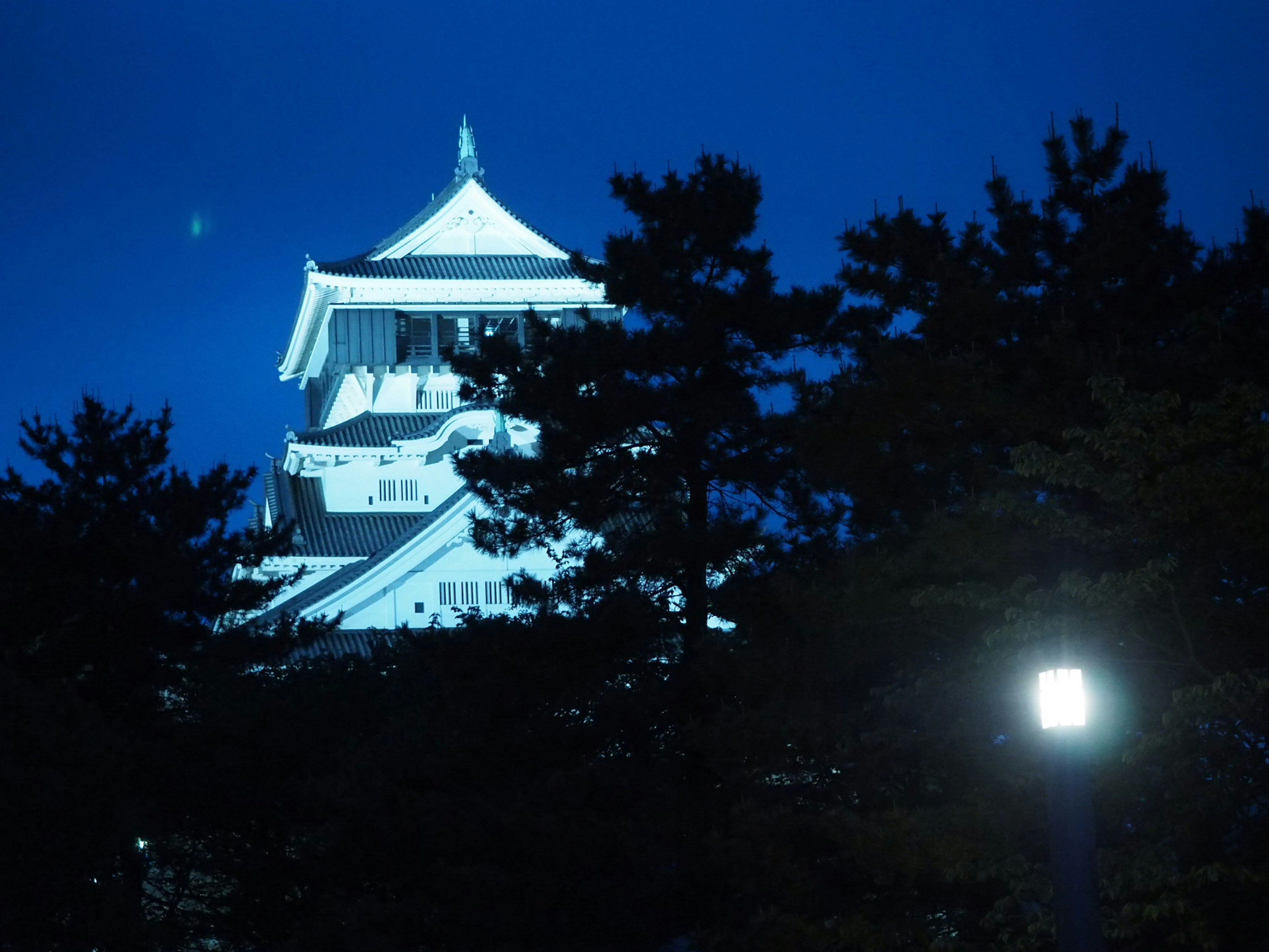 White castle tower illuminated at night surrounded by trees