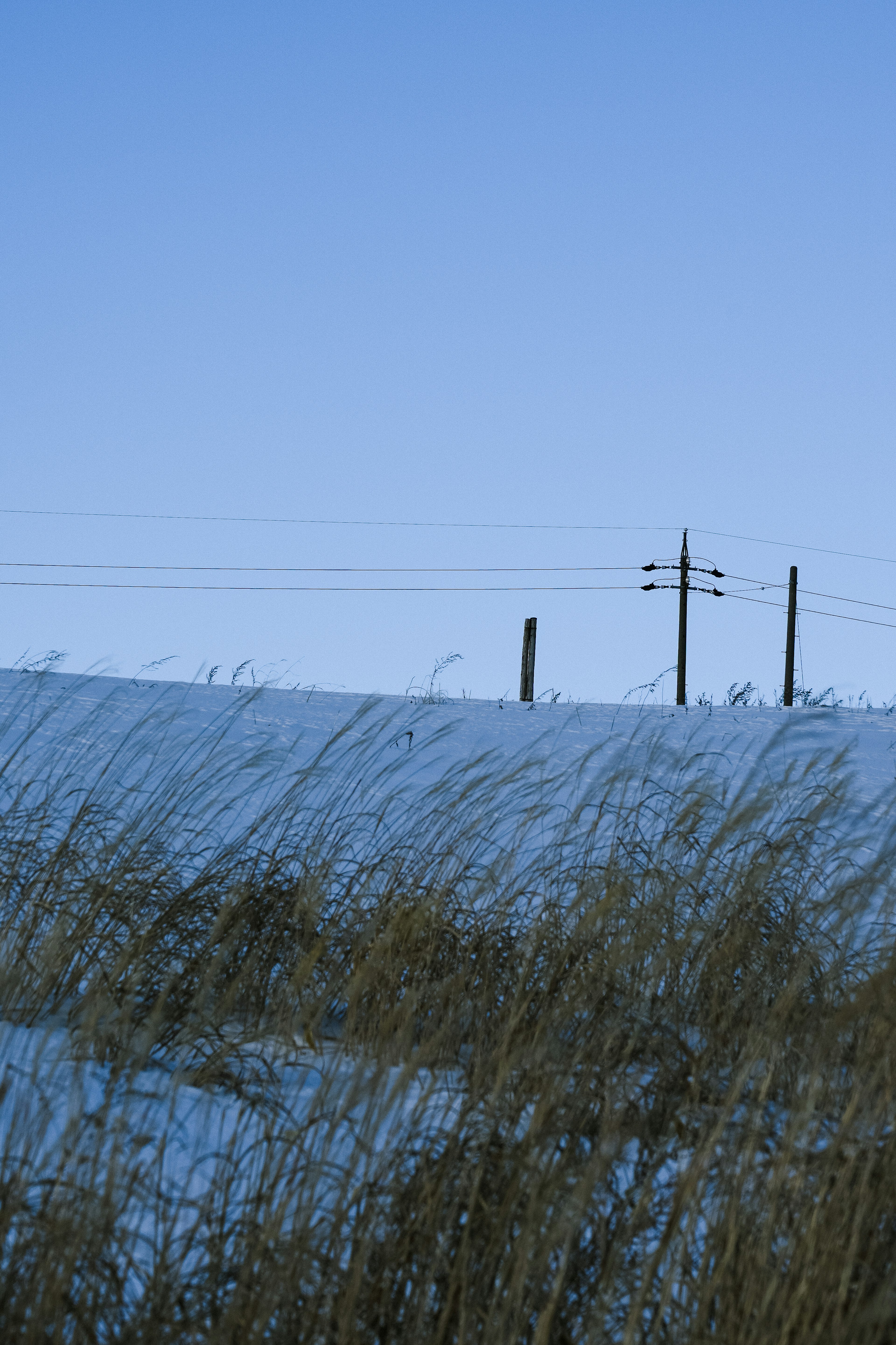 Paysage avec ciel bleu et sol enneigé avec des poteaux de télégraphie et de l'herbe