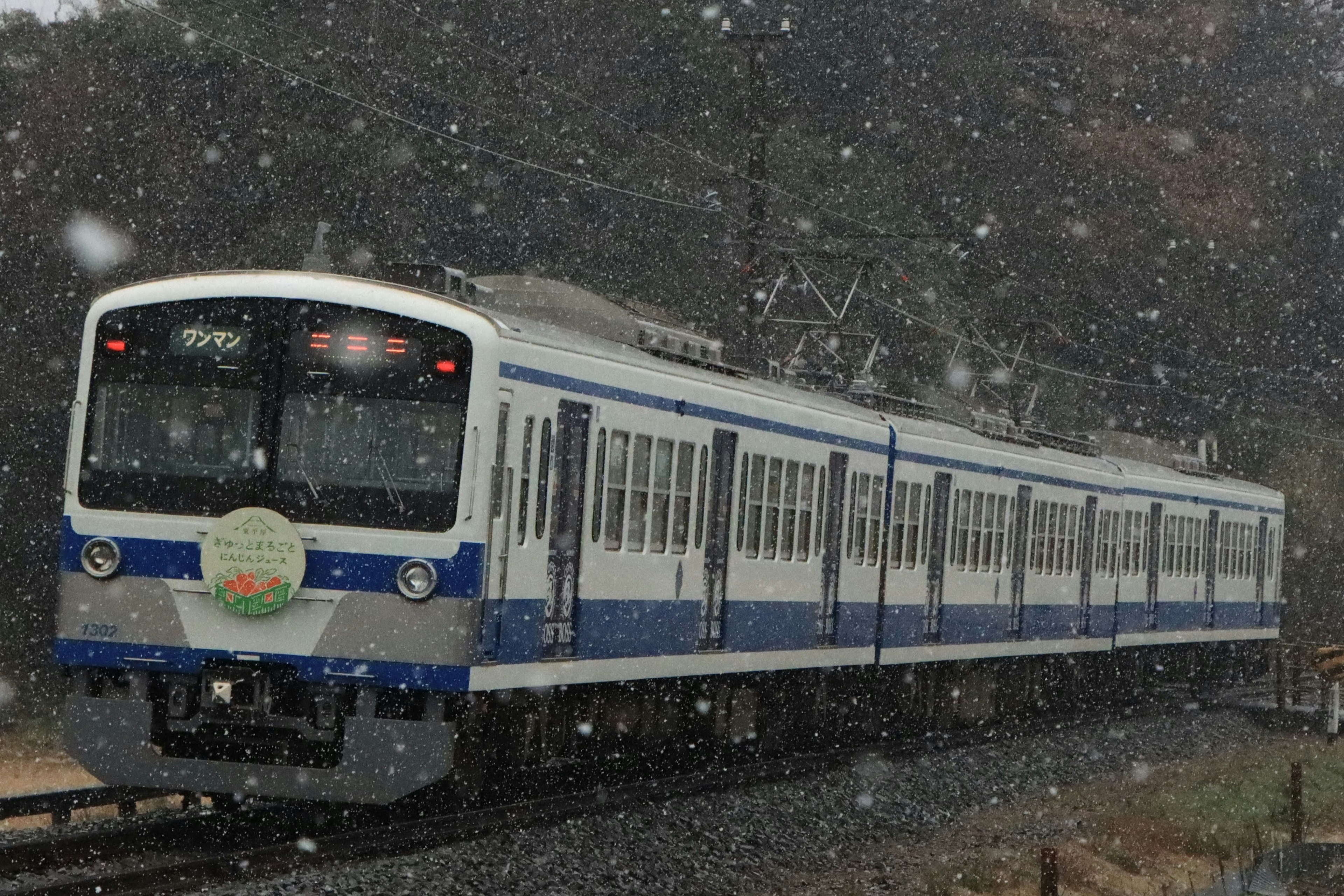 Blauer und weißer Zug, der im Schnee fährt