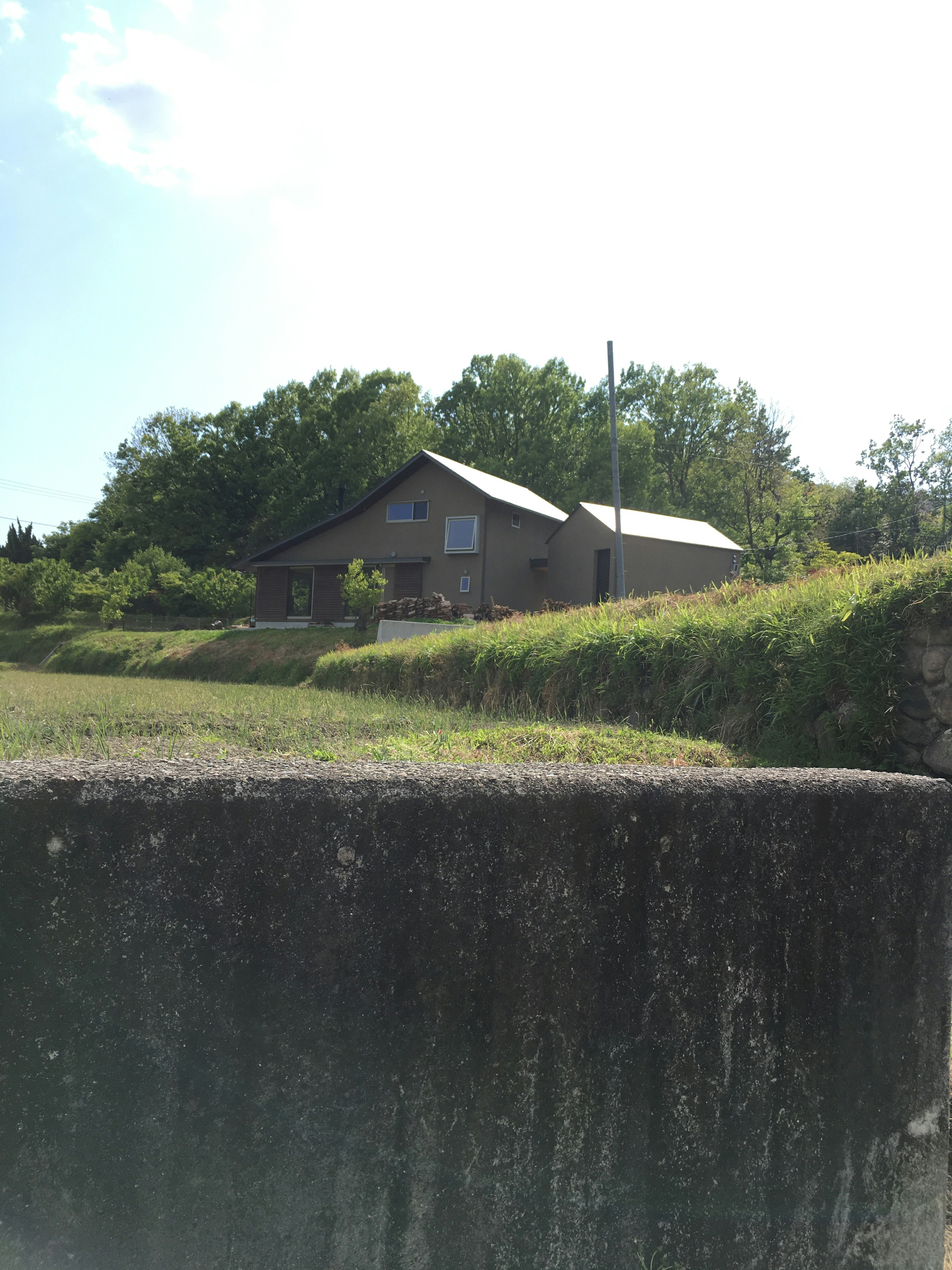 House surrounded by greenery under a blue sky