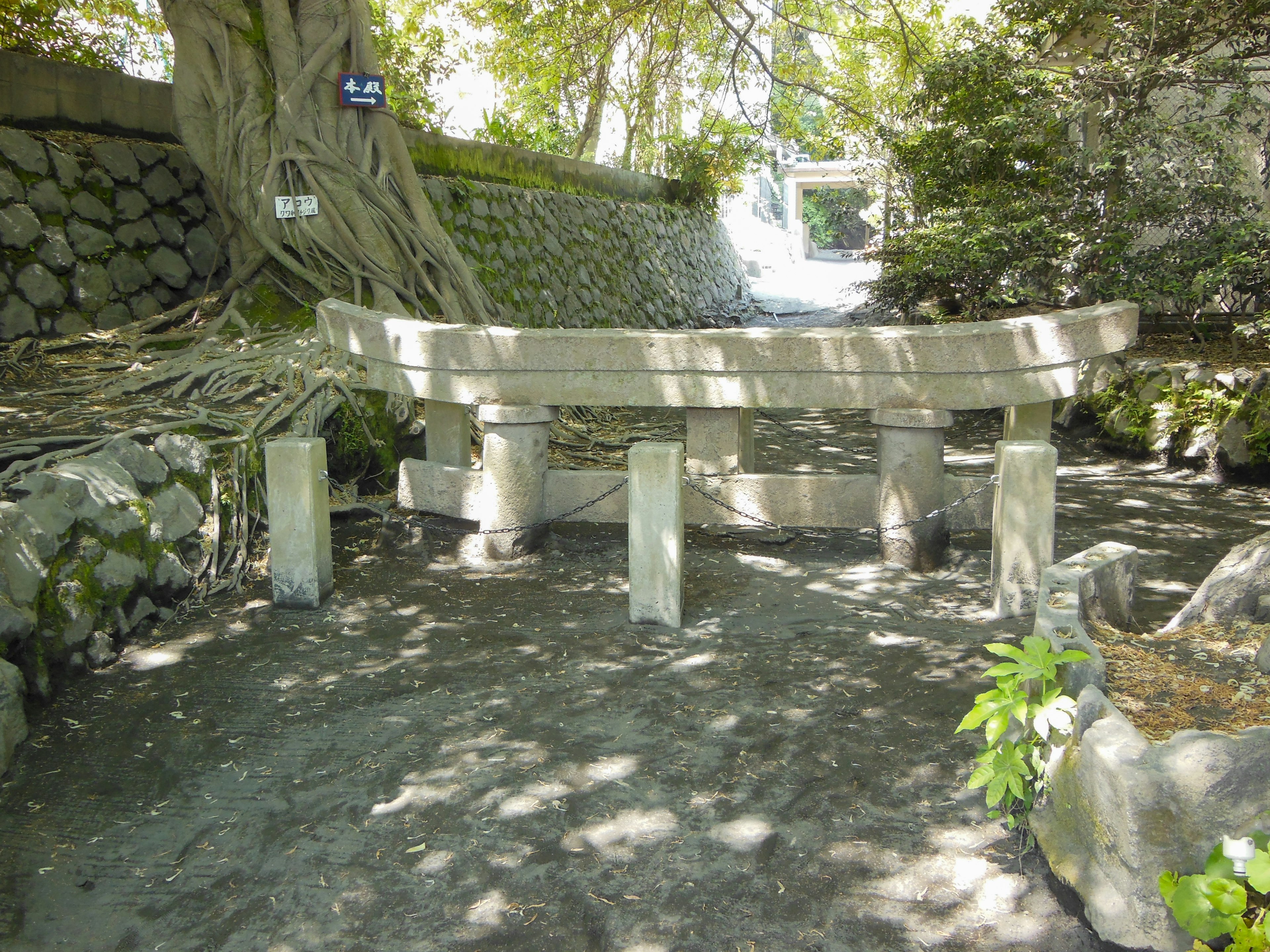 Un pont en bois dans un cadre verdoyant tranquille