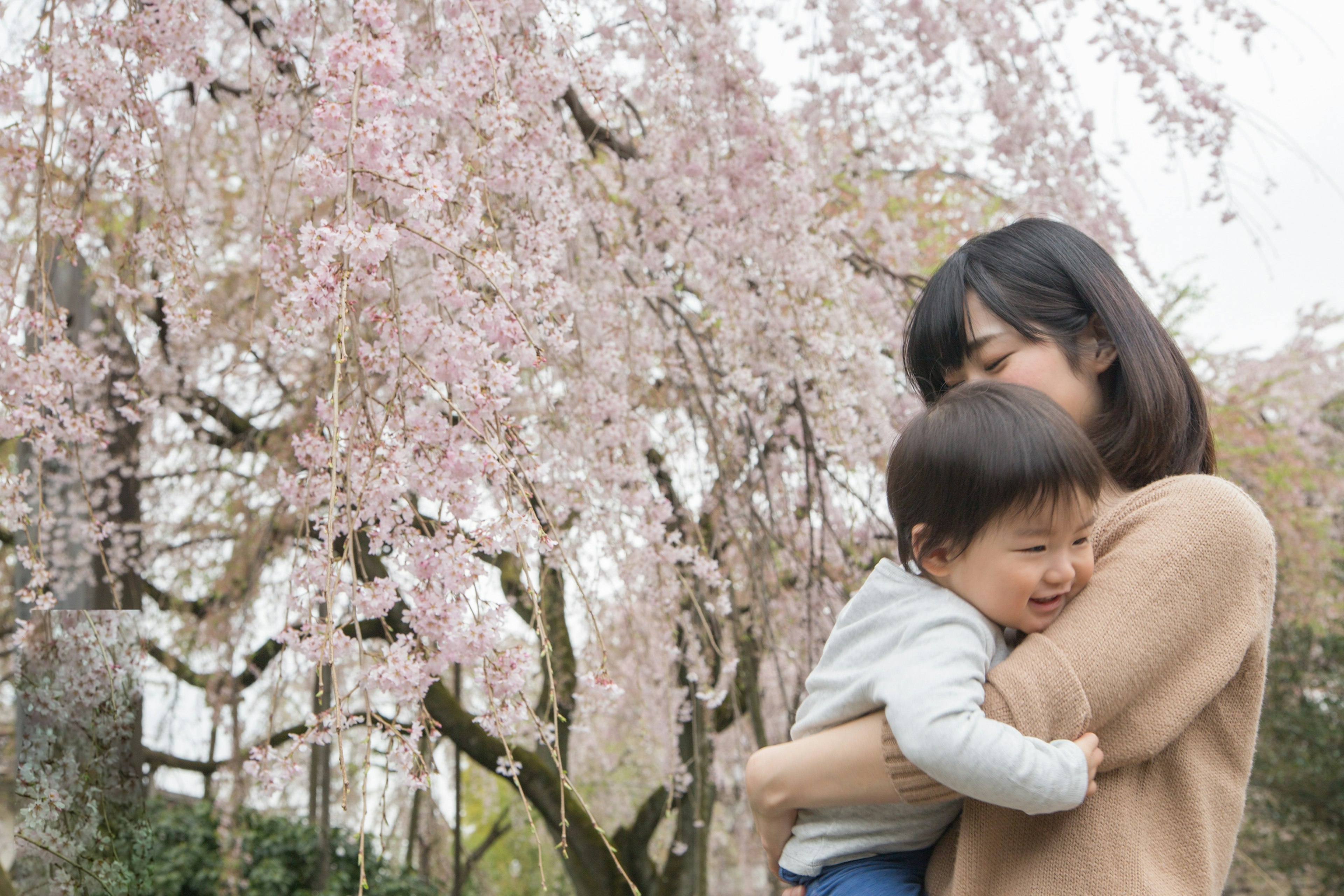 Seorang ibu dengan lembut memeluk anaknya di bawah pohon sakura