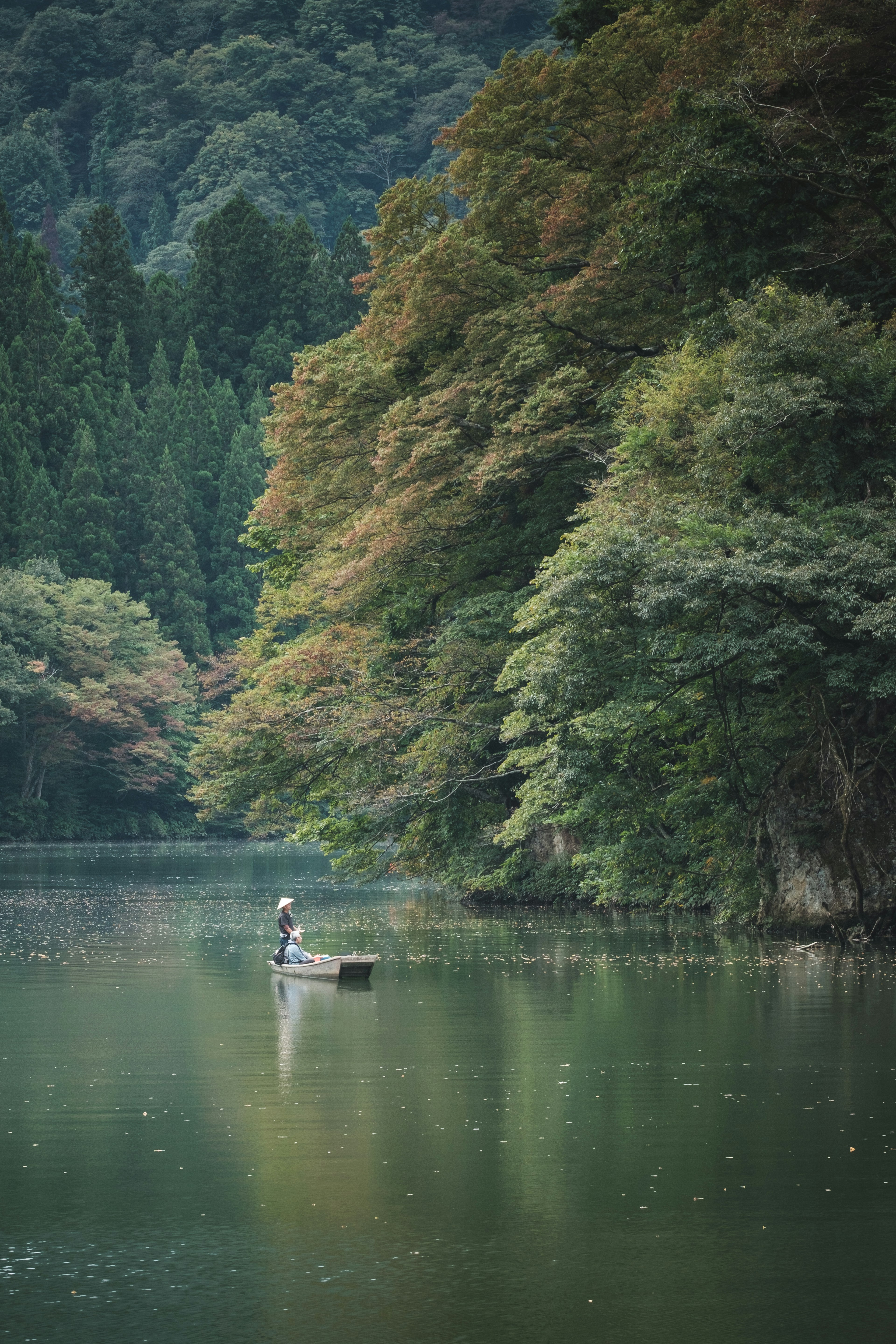 静かな湖の上に小さなボートが浮かんでいる森に囲まれた風景