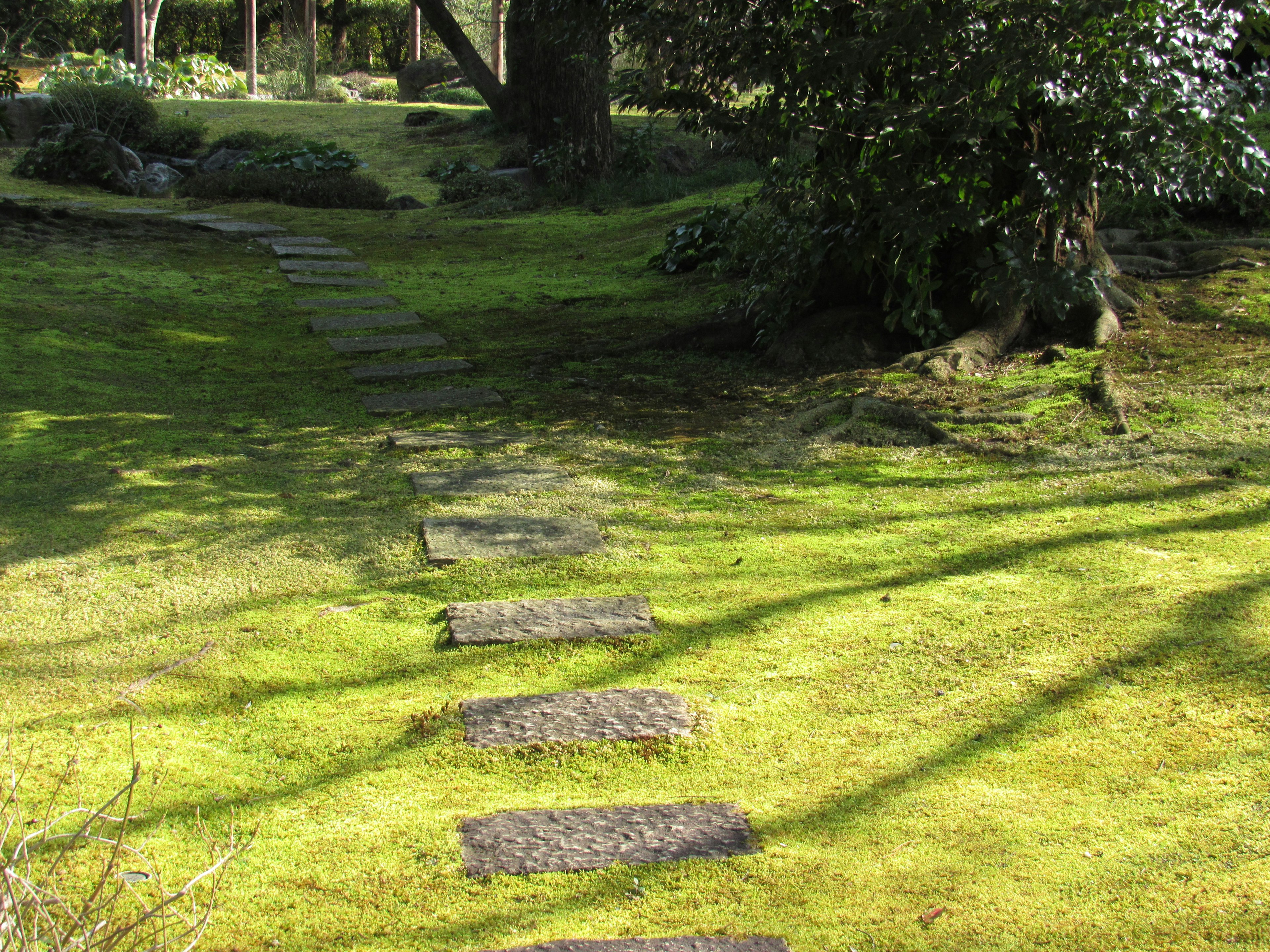 A serene garden with stone stepping stones on lush green grass