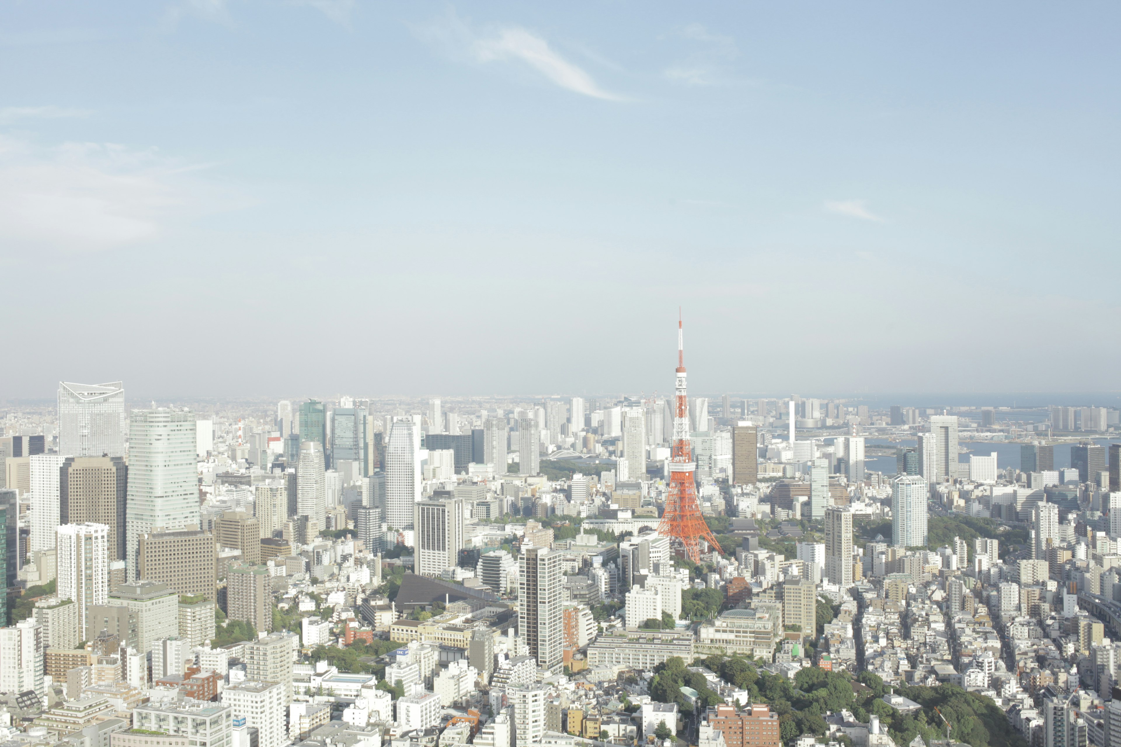 Vue panoramique de la ville de Tokyo avec la tour de Tokyo