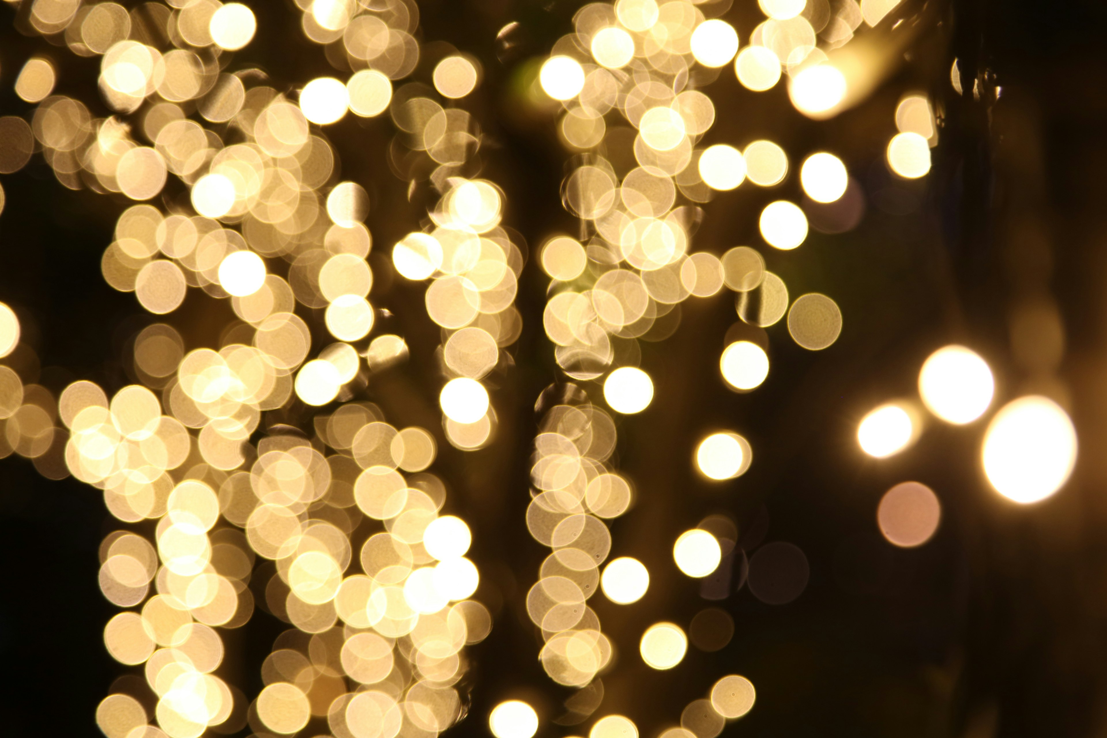 Orbes de lumière floues brillantes dans une scène nocturne