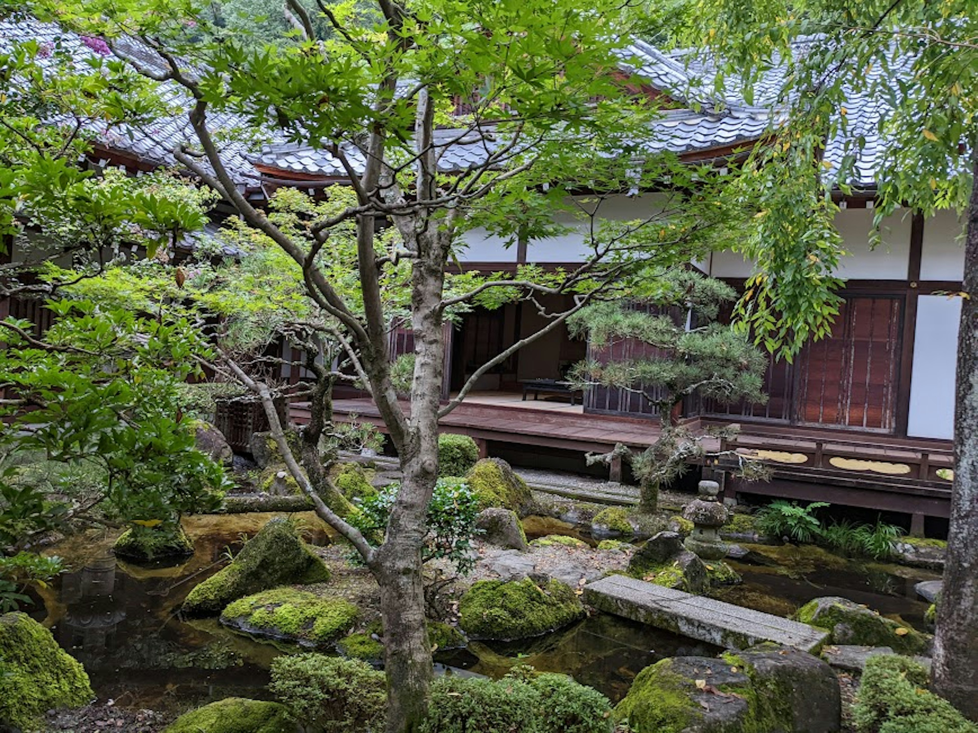 寧靜的景觀，背景是郁郁蔥蔥的花園和傳統的日本房屋