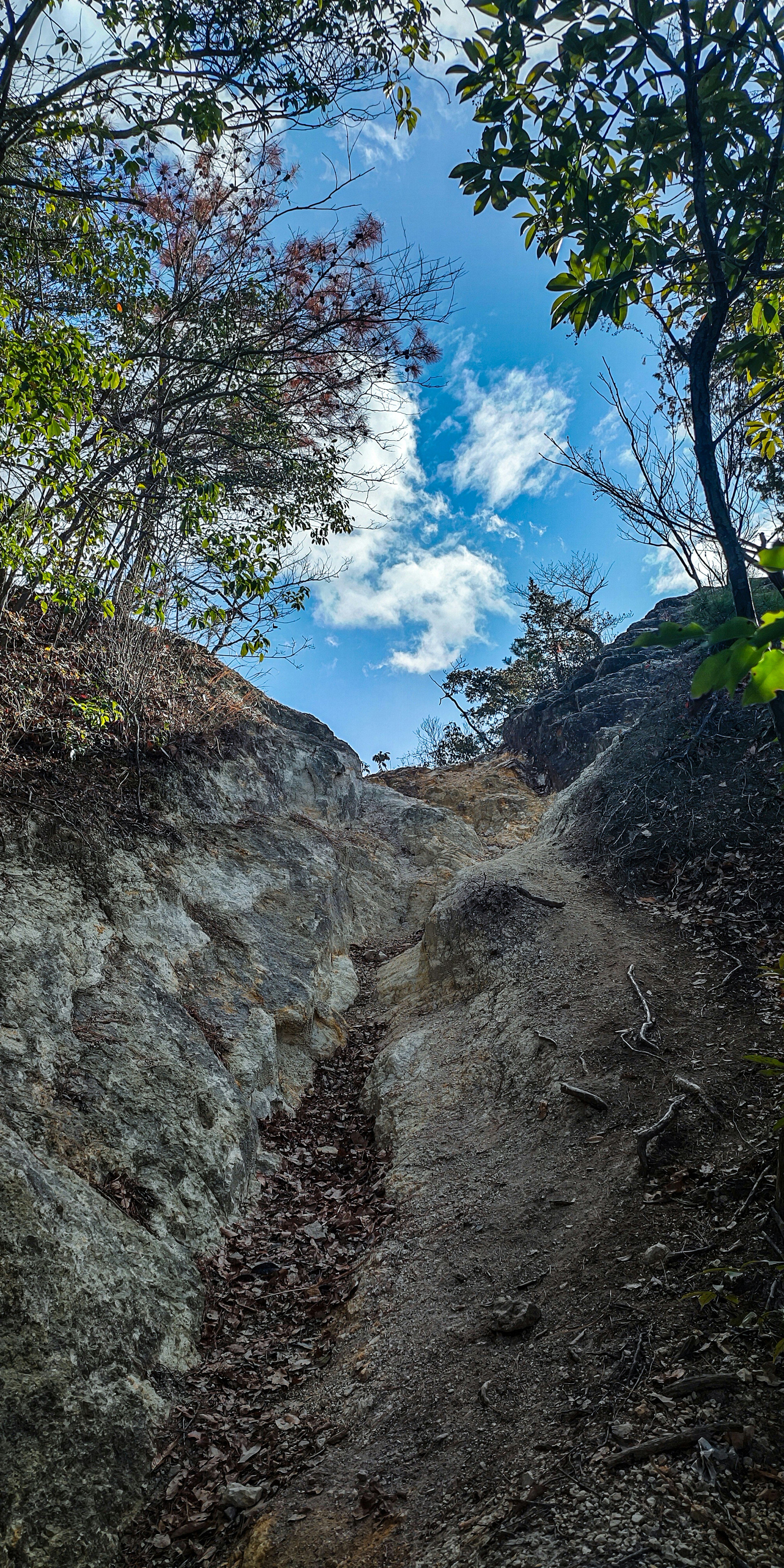 Vista de un sendero empinado rodeado de rocas y árboles mirando hacia arriba