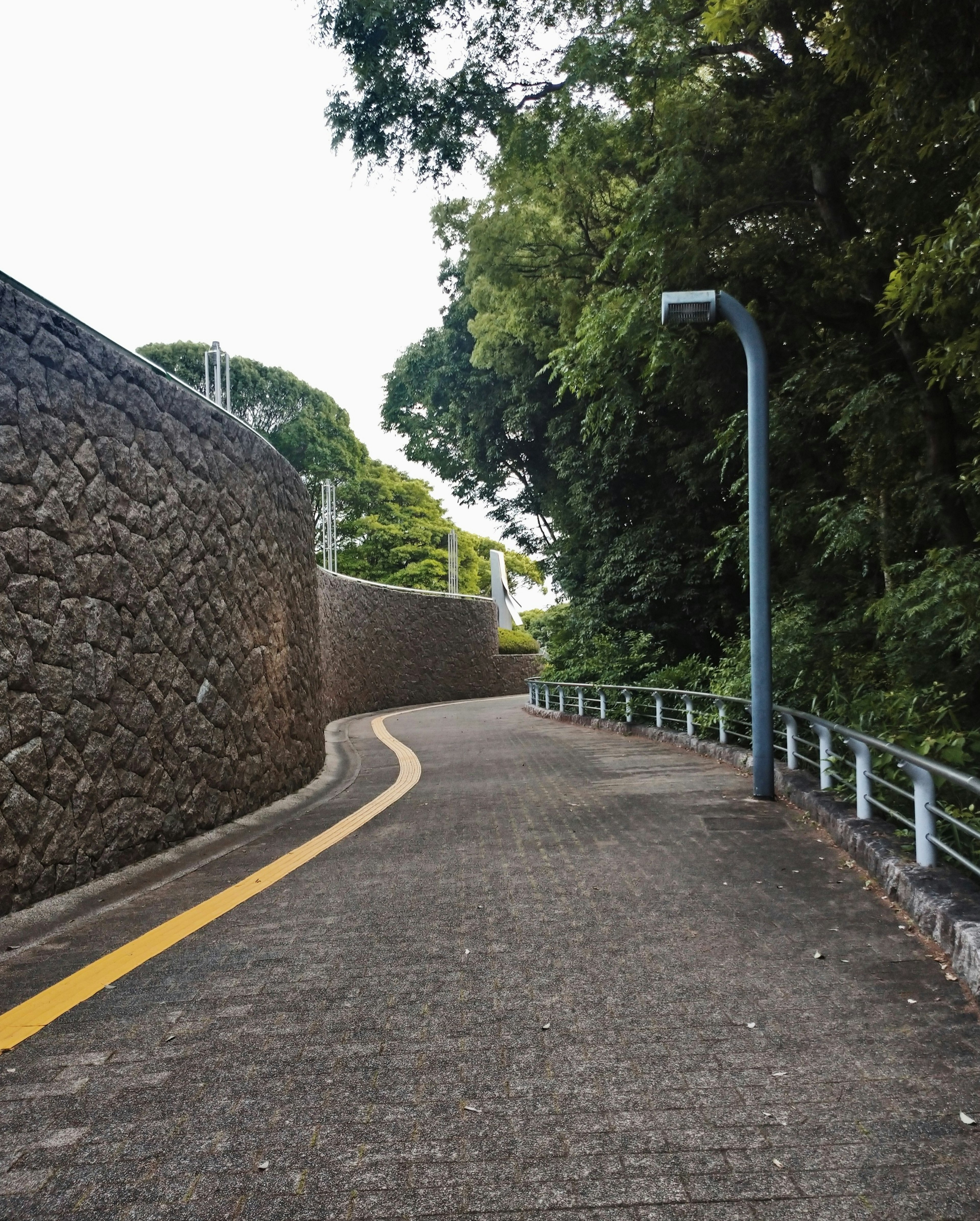 Winding pathway surrounded by greenery and stone wall