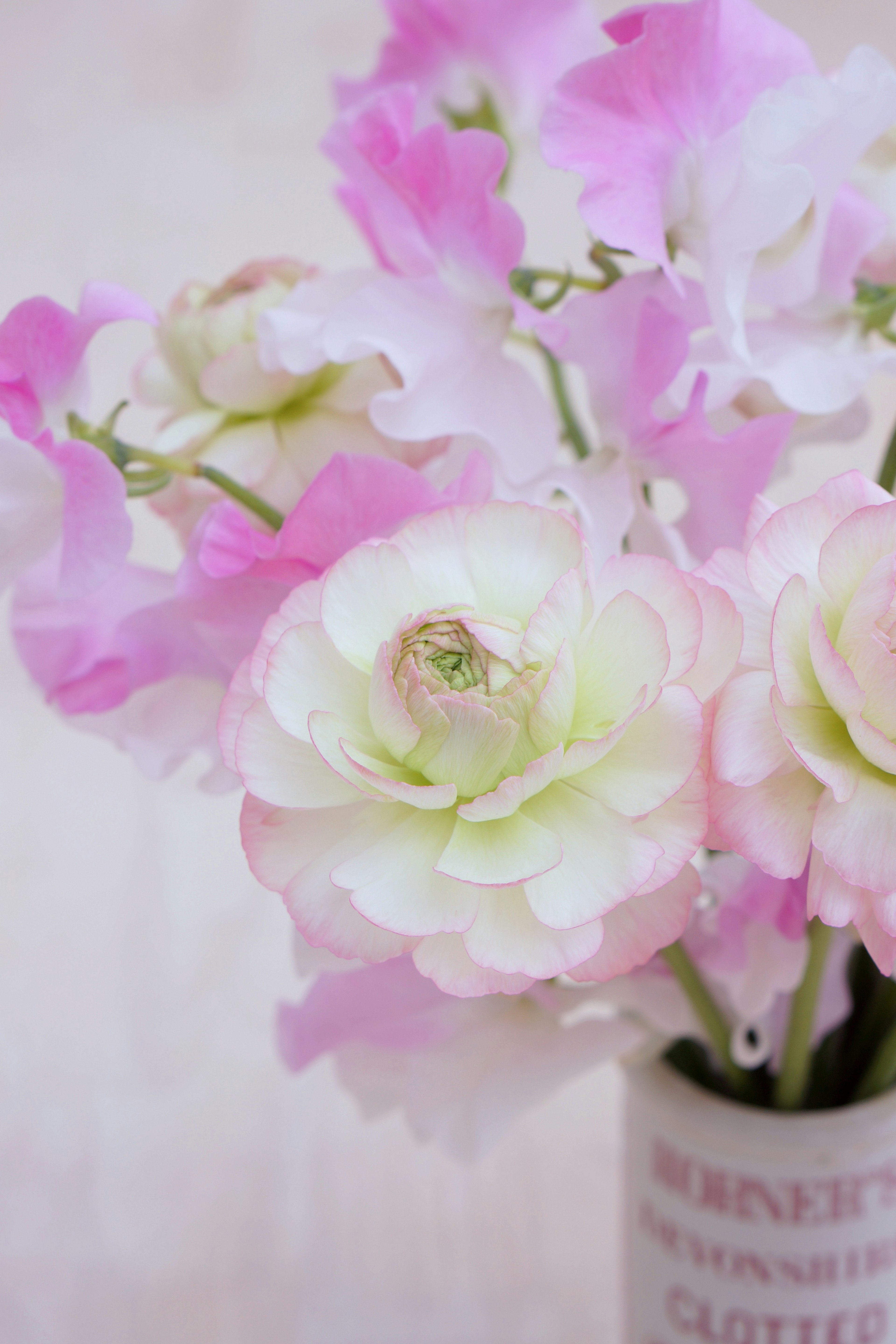 ピンクと白の花が咲いている花瓶の画像