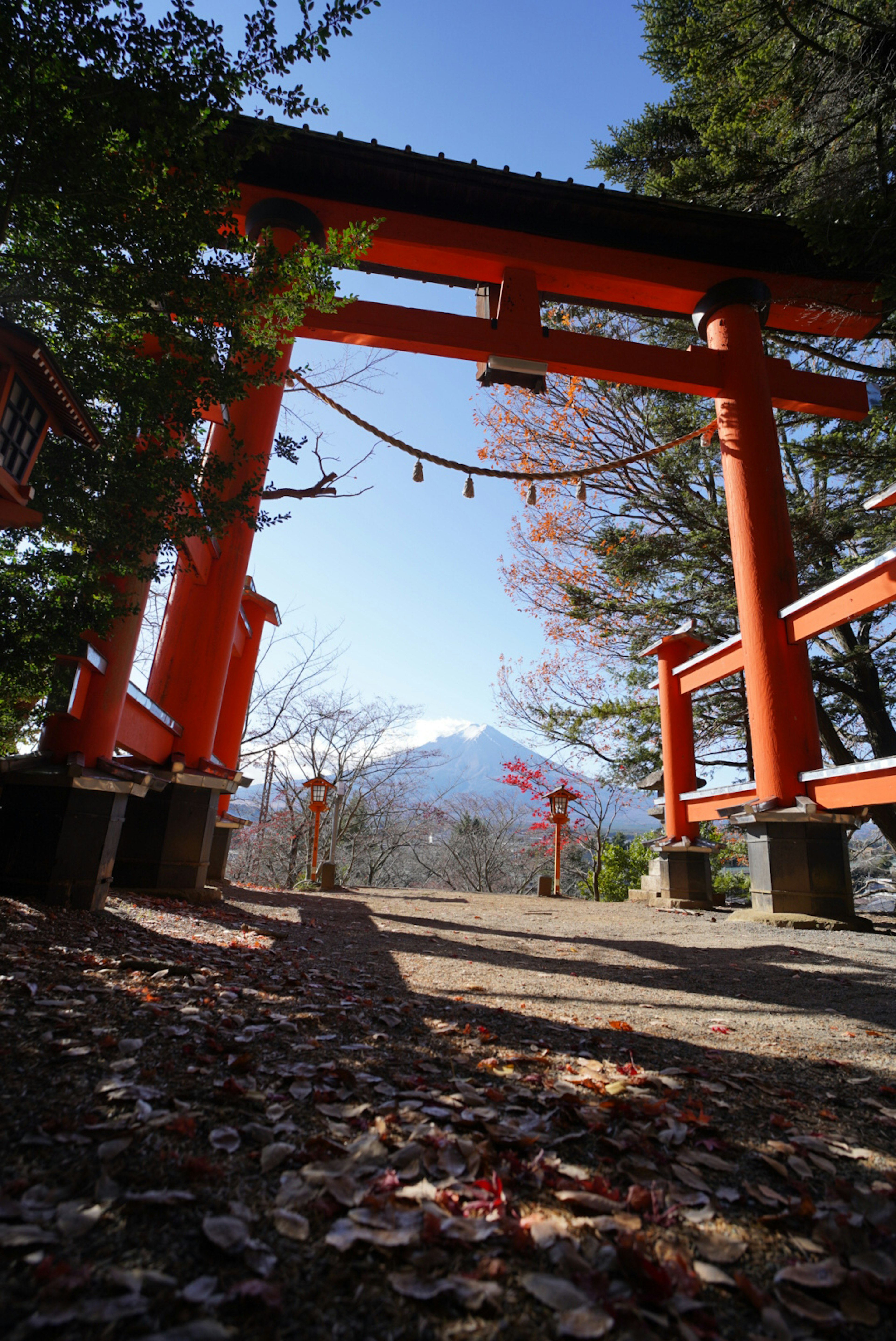 赤い鳥居と山の景色を背景にした風景