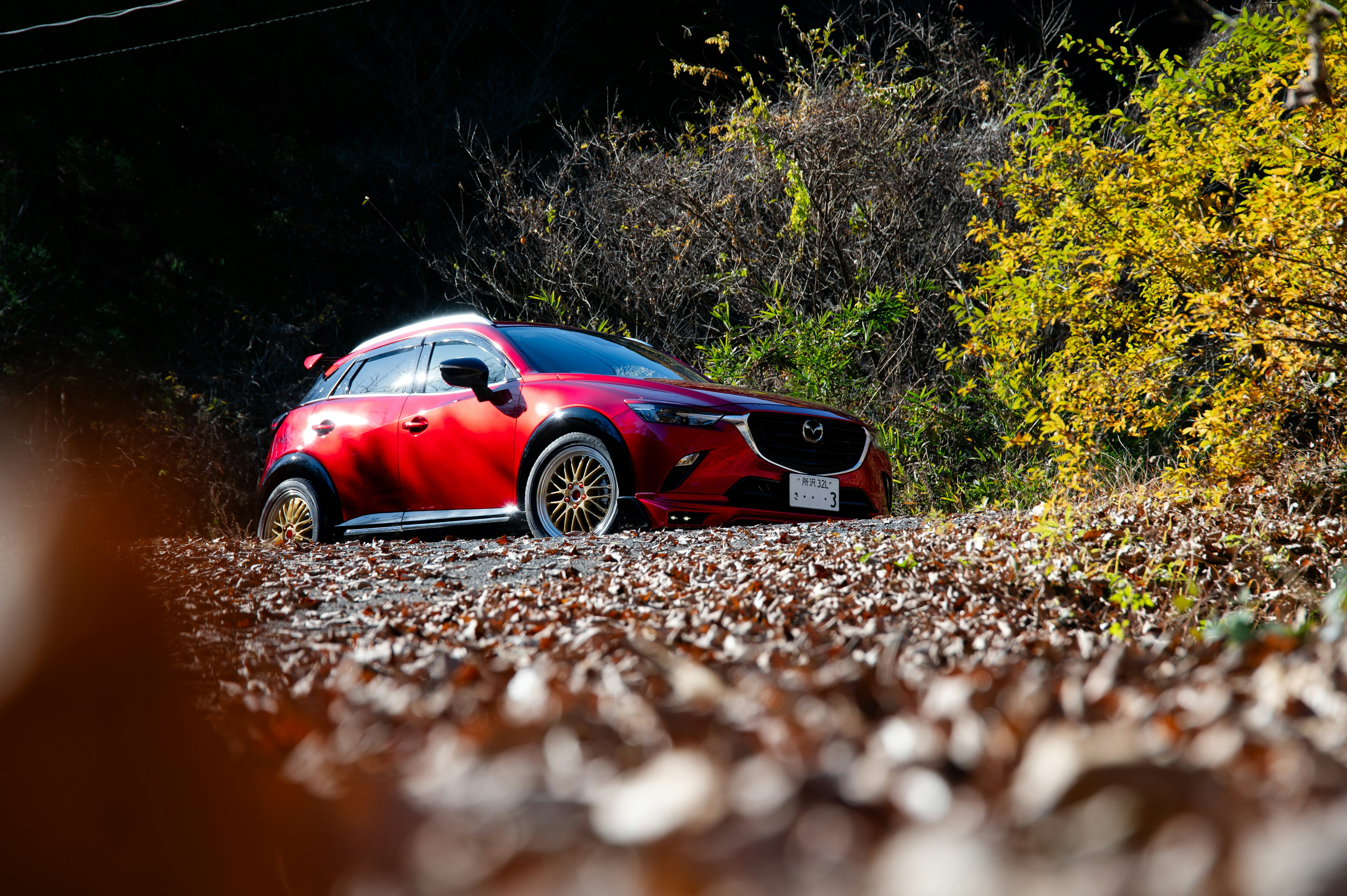 Red car parked on a gravel road surrounded by autumn leaves