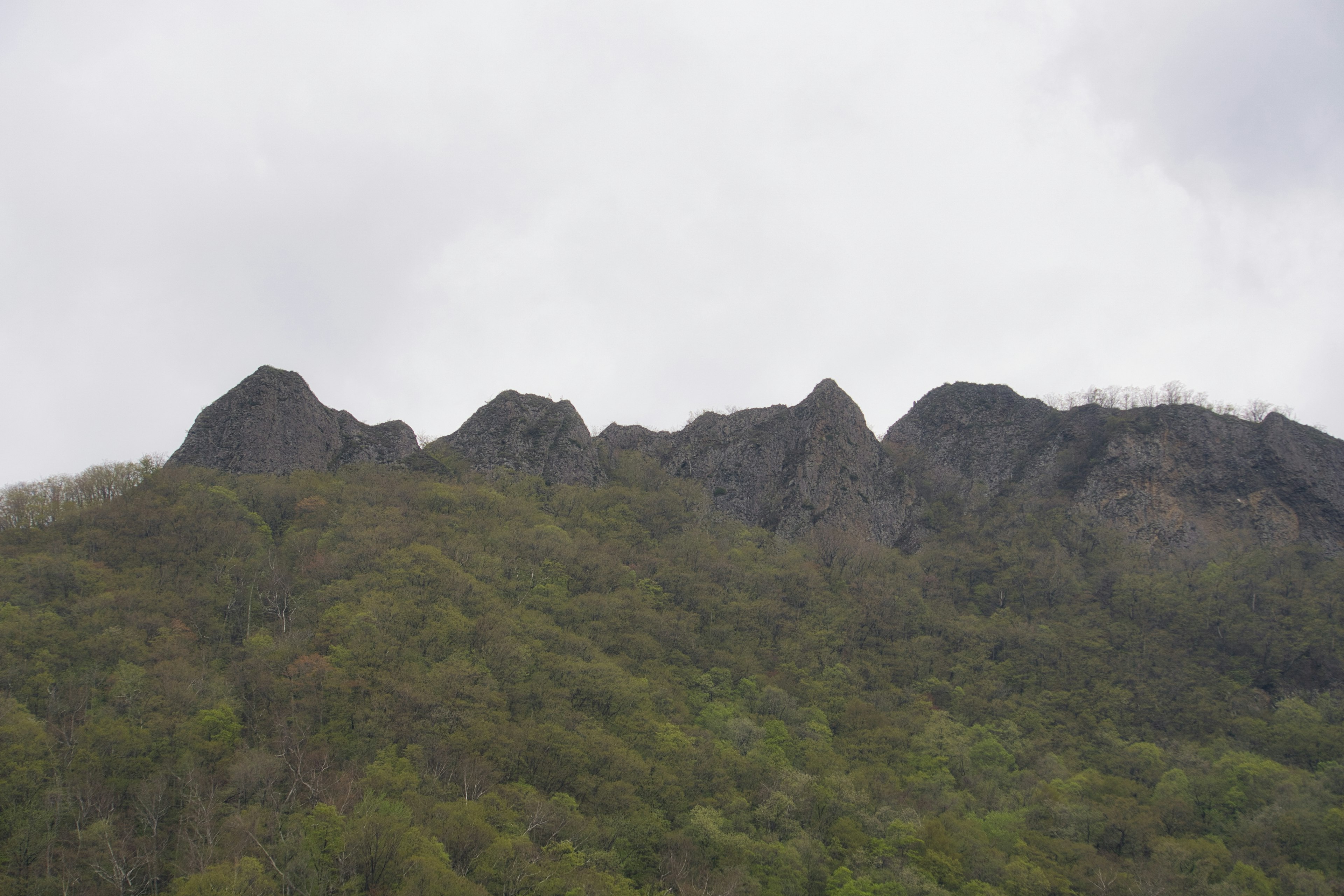 郁郁葱葱的山丘上方鋸齒狀山峰的風景