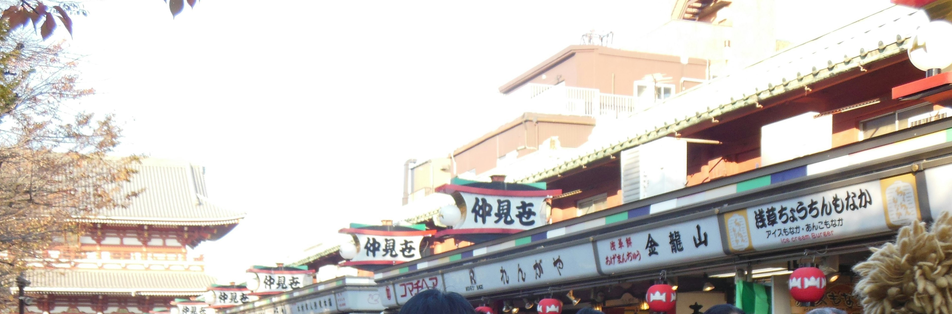 Vibrant shopping street scene with traditional signs on old building roofs