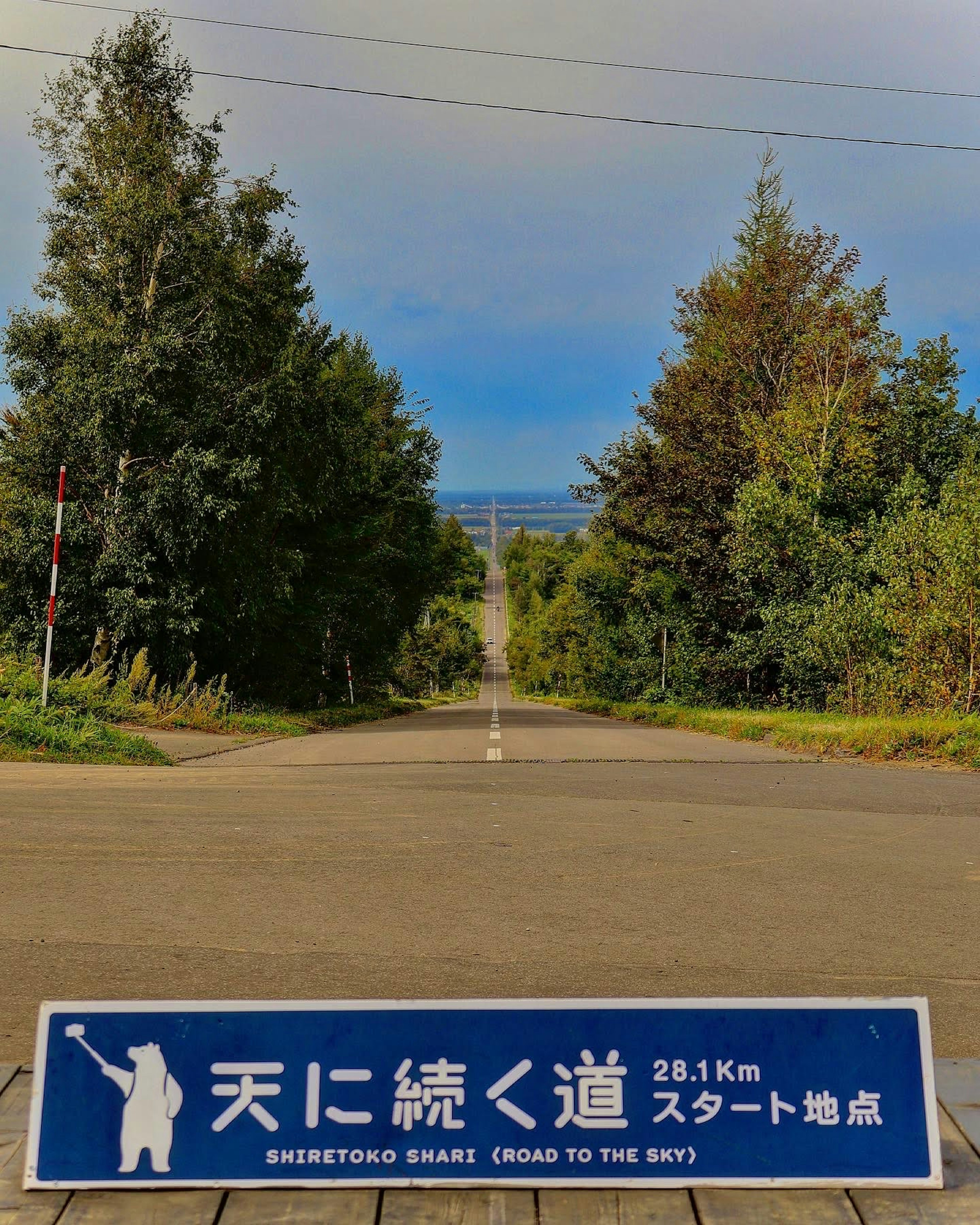 一条风景如画的道路，蓝色标志显示"通往天空的路"，背景有树木和明亮的天空