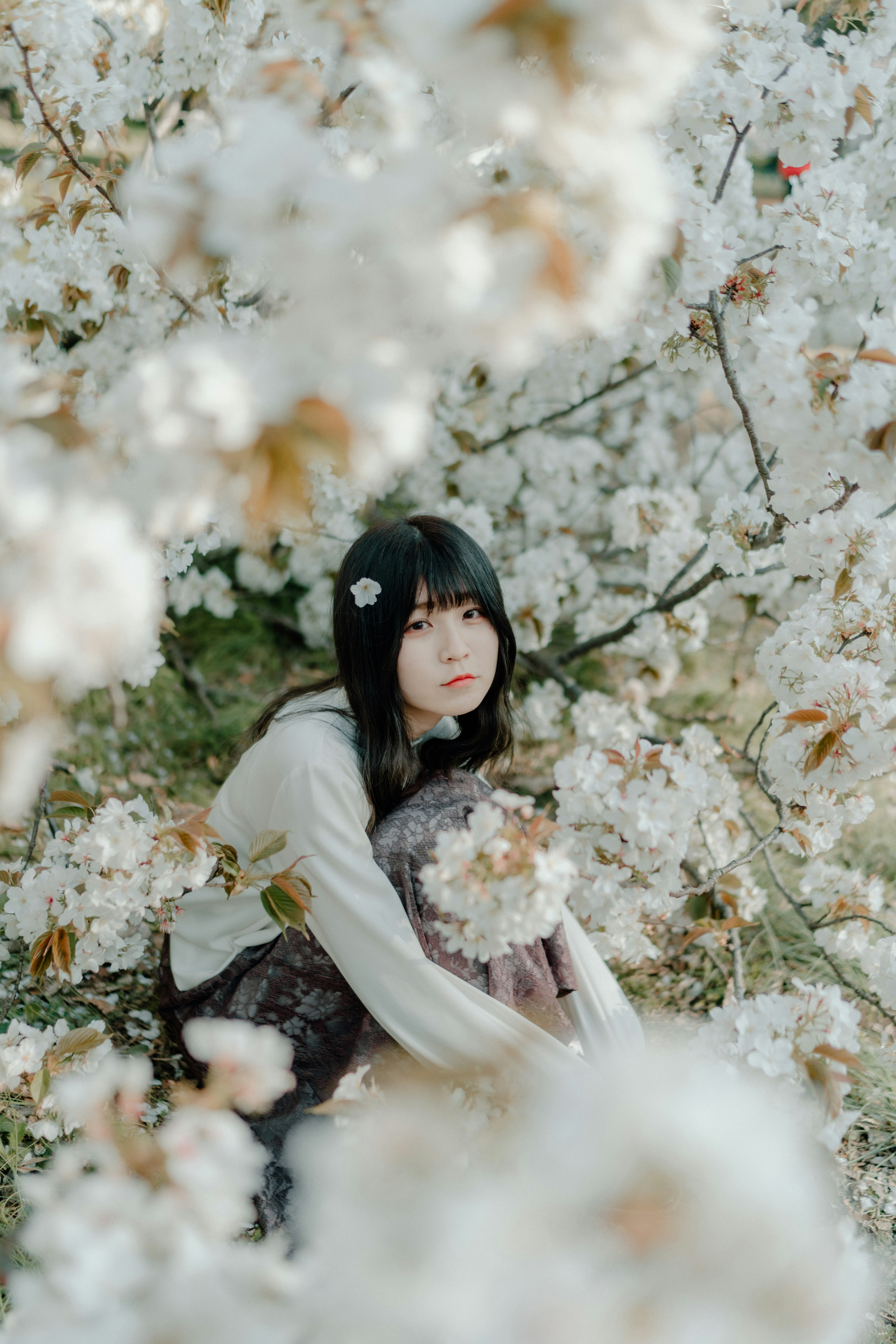 Une fille assise parmi des fleurs blanches