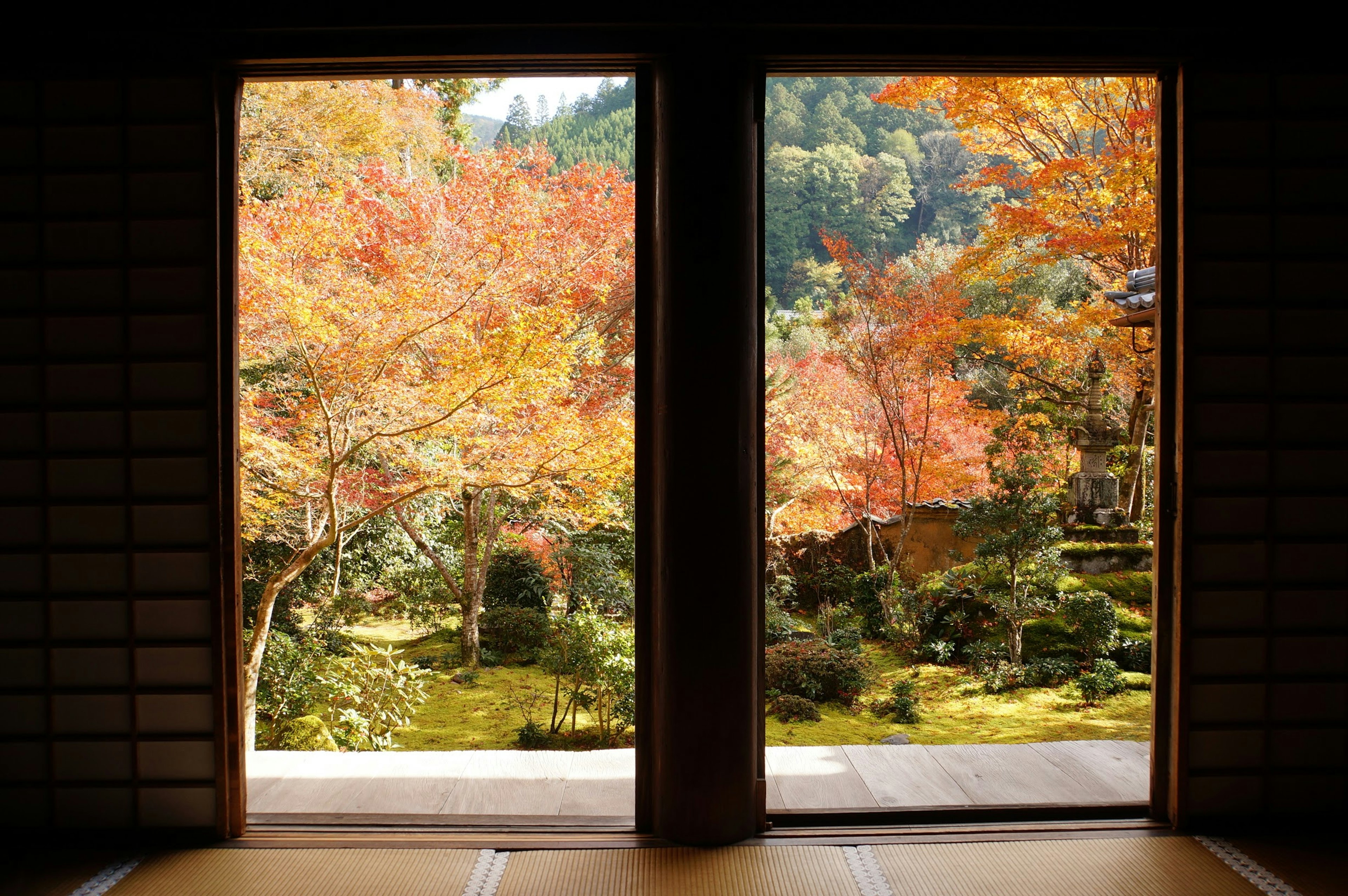 Scenic view of a Japanese garden with vibrant autumn foliage