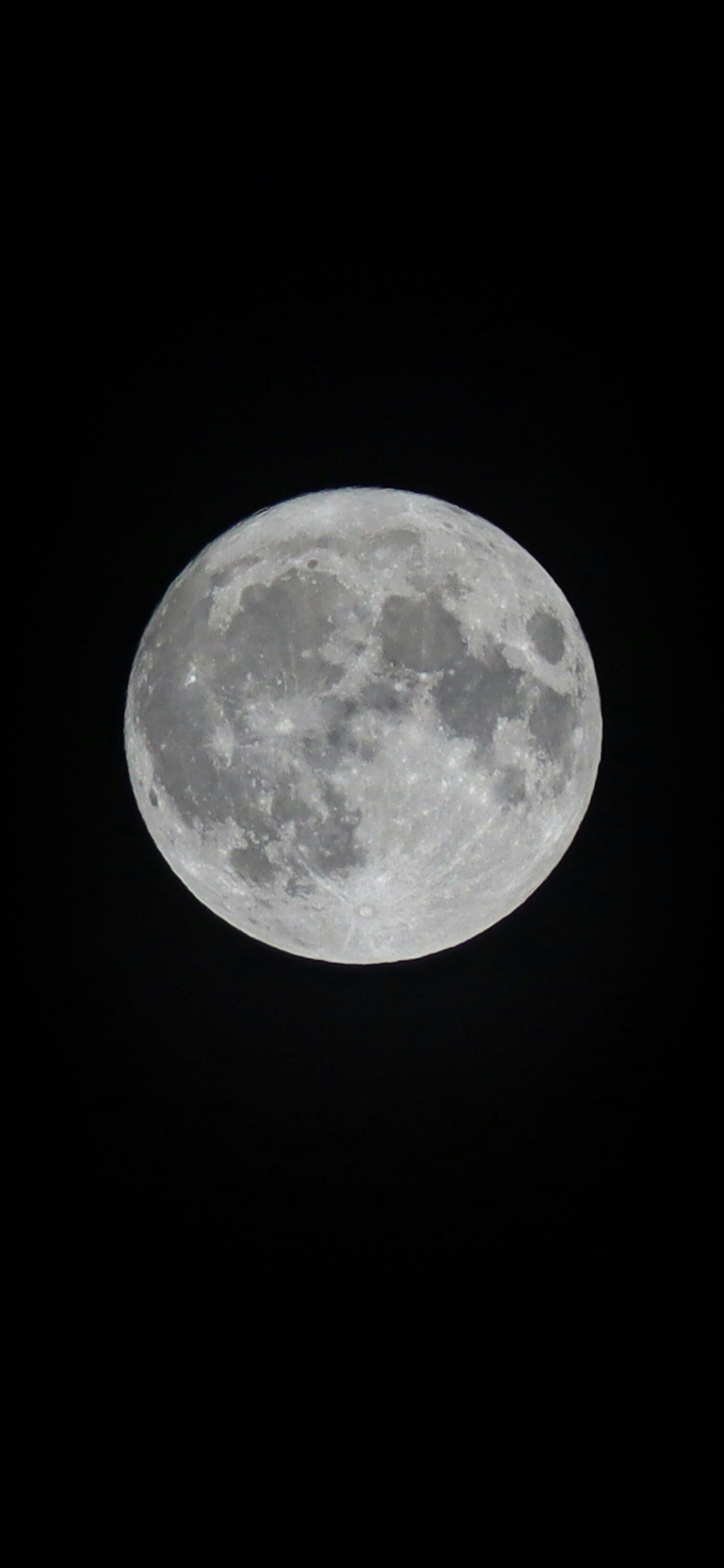 Detailliertes Bild eines Vollmonds, der am Nachthimmel leuchtet