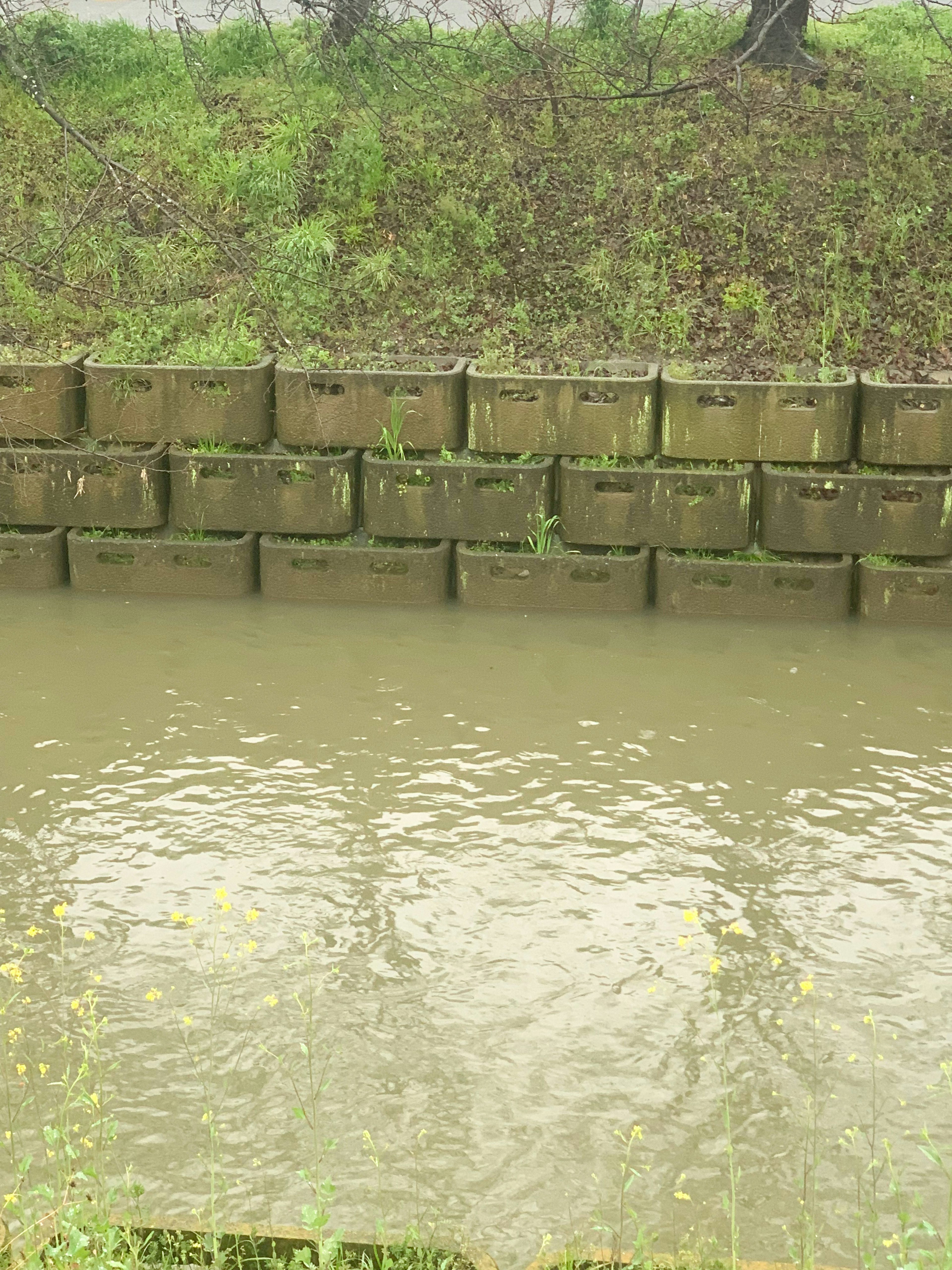 Vue d'un mur en blocs se reflétant sur la surface de l'eau avec une verdure environnante