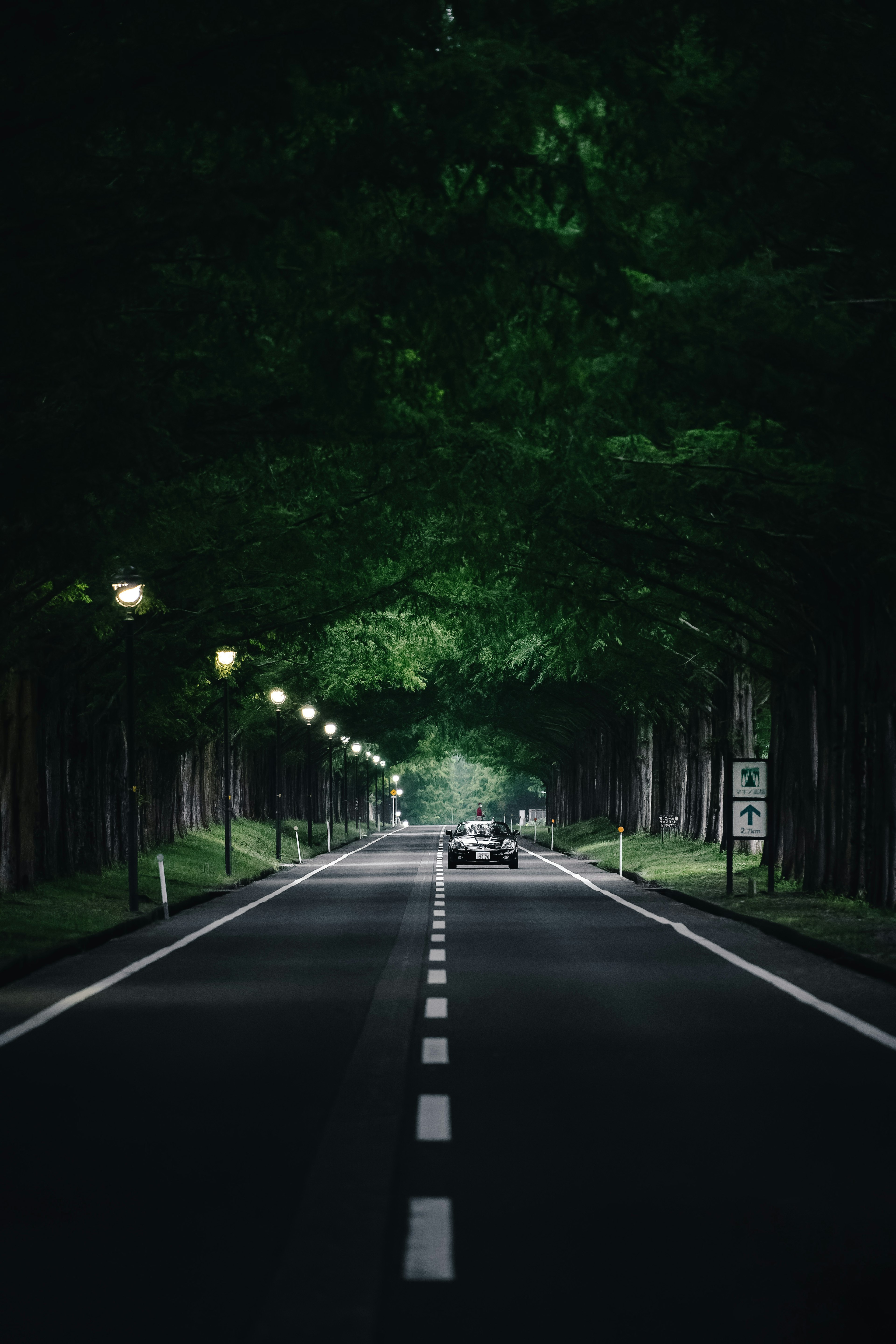 緑の木々に囲まれた静かな道路の風景