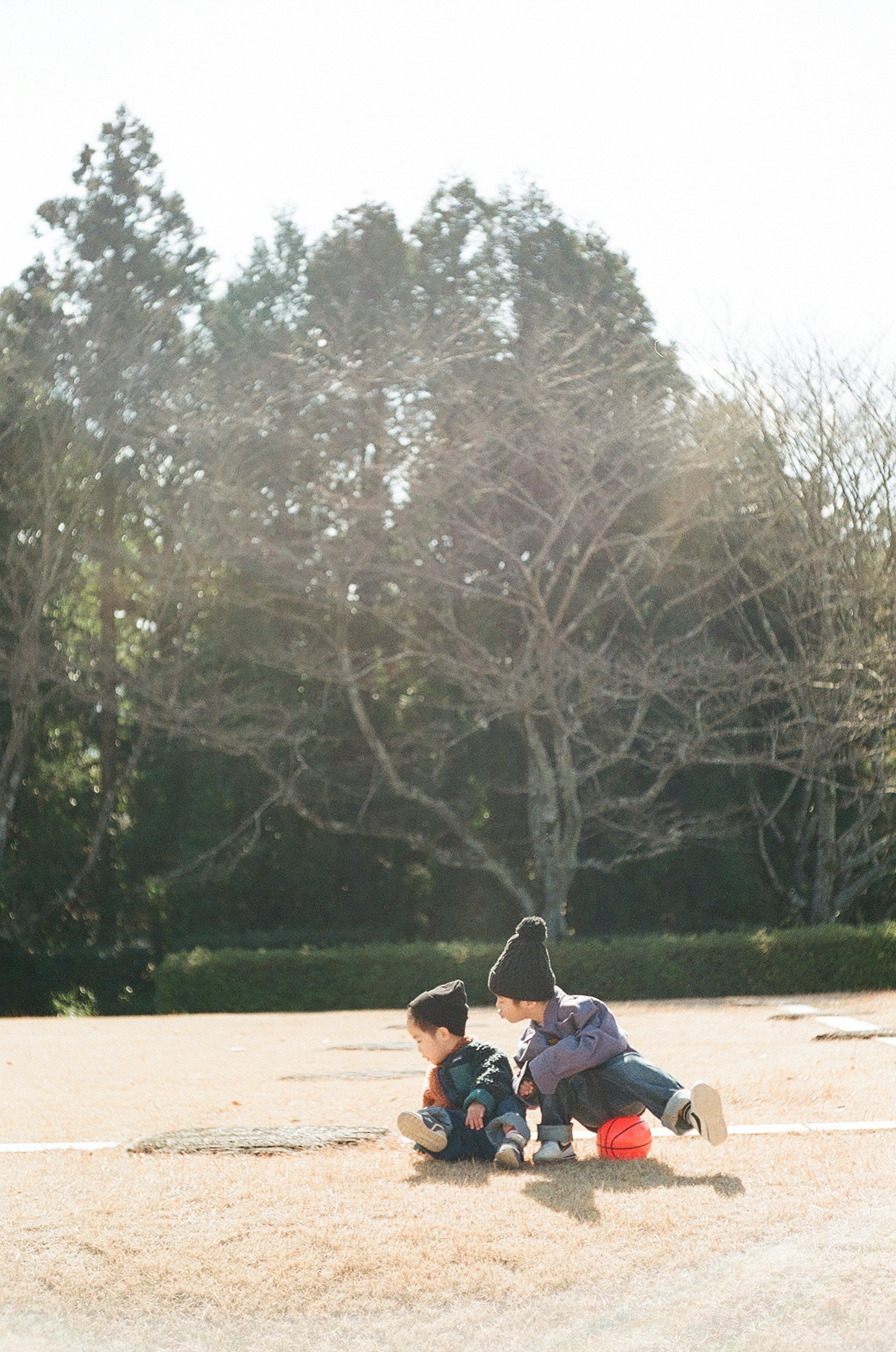 Niños jugando en un parque con árboles al fondo