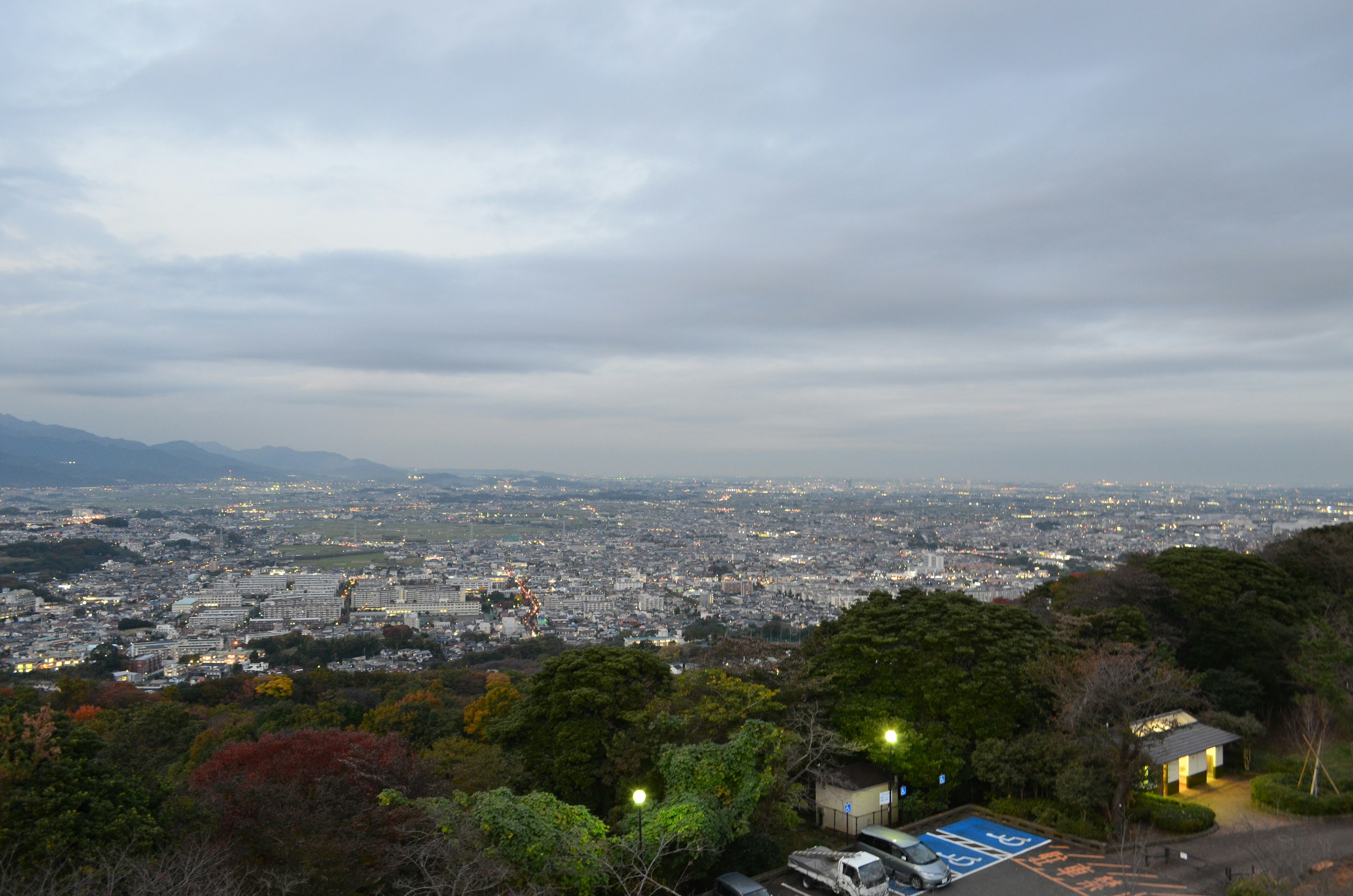 Une vue panoramique d'un paysage urbain au crépuscule avec de la verdure au premier plan