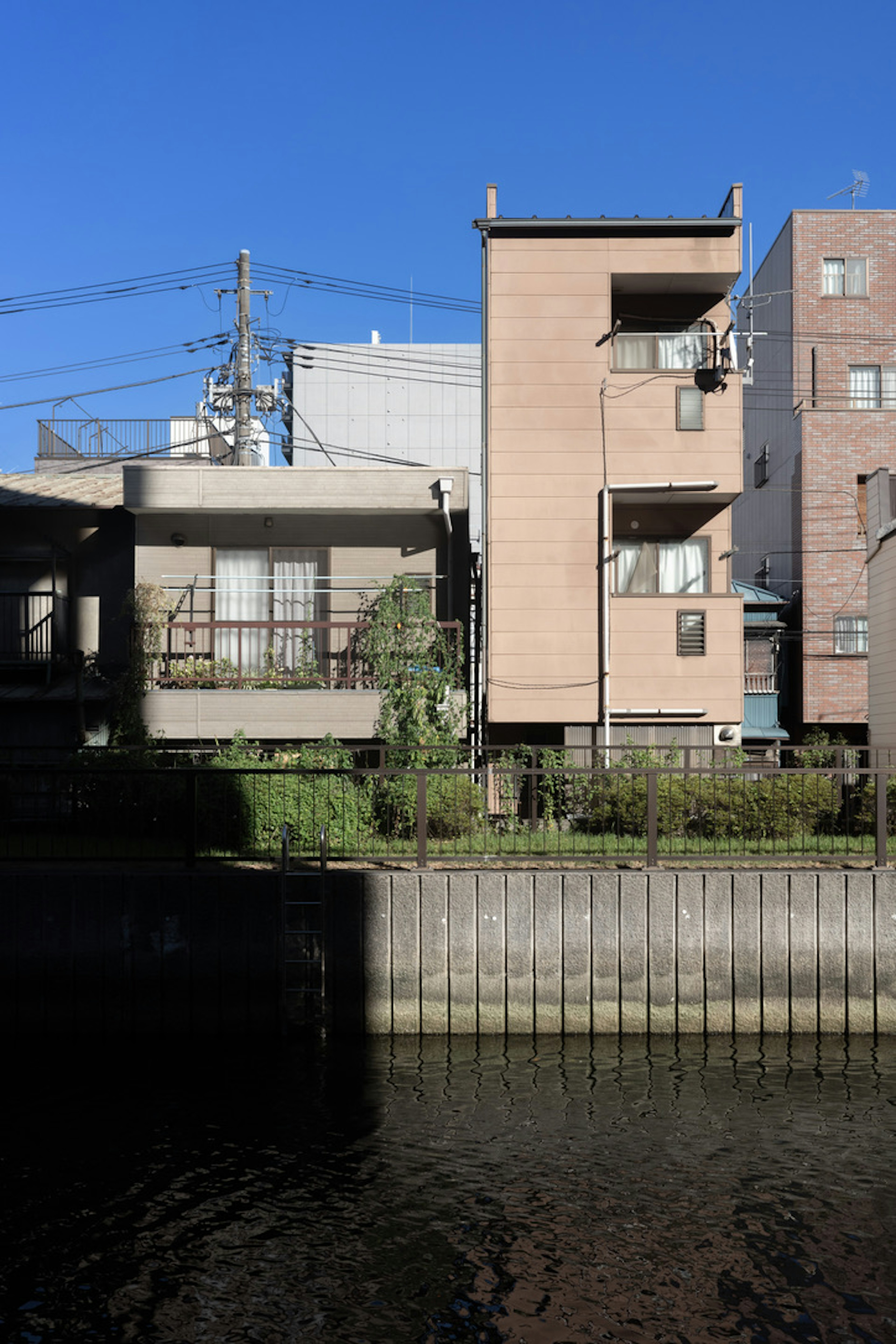 川沿いにある近代的な建物と緑の植物のある風景