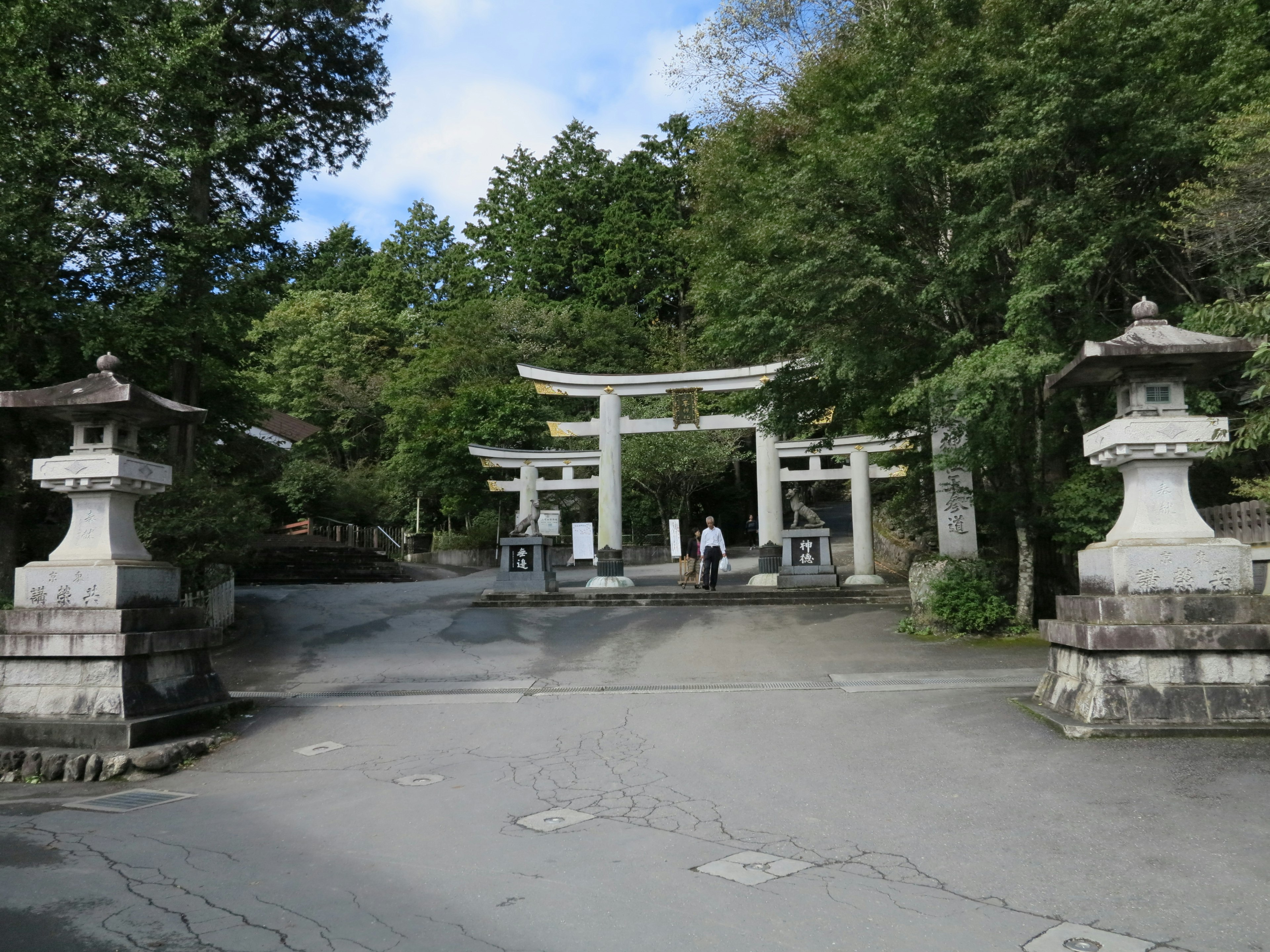 Entrance of a serene shrine featuring a torii gate and stone lanterns