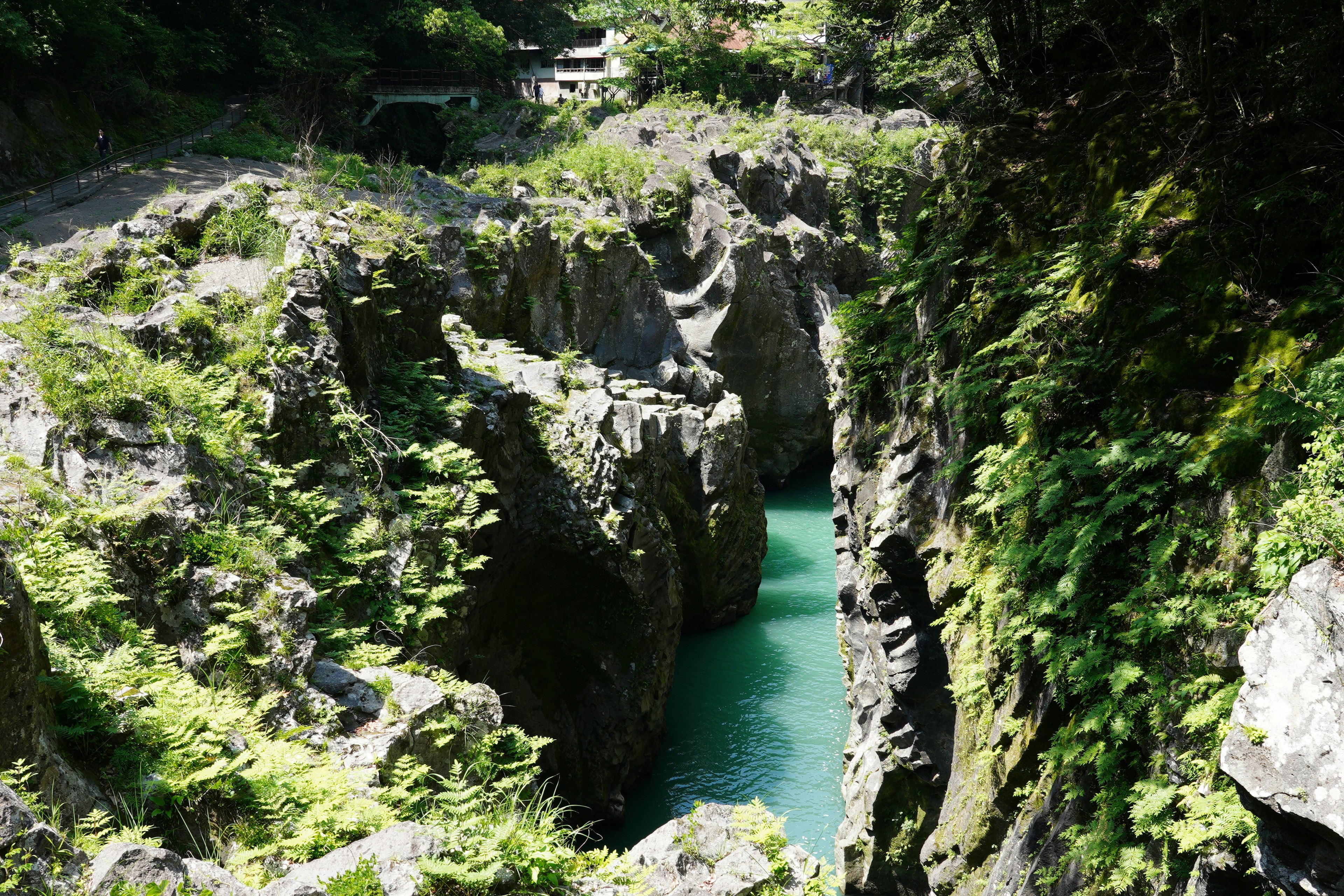 緑に覆われた峡谷と青い水の流れ