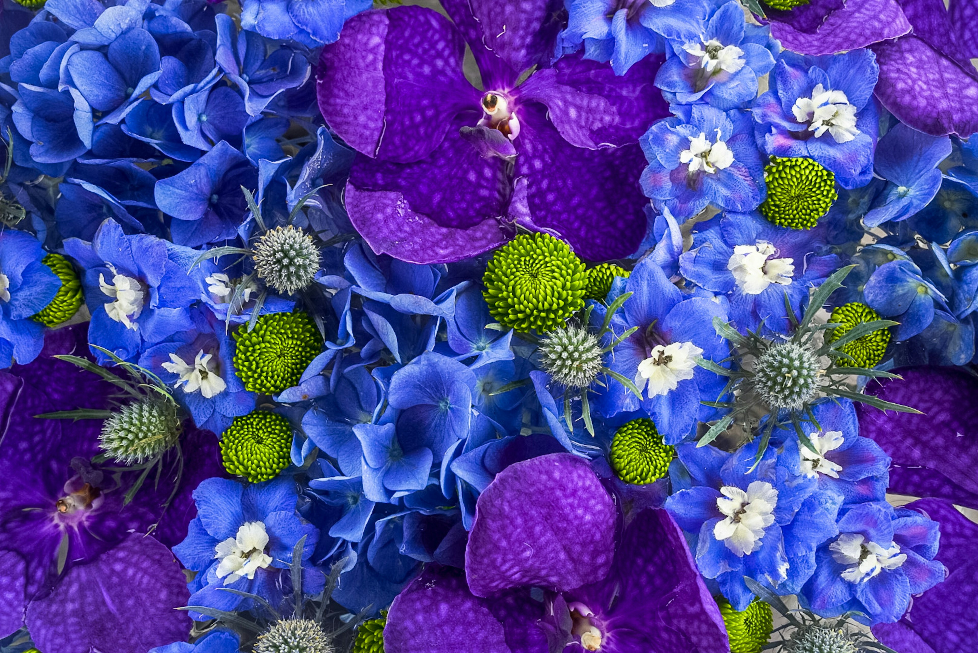 Un vibrante arreglo de flores moradas y azules con acentos verdes