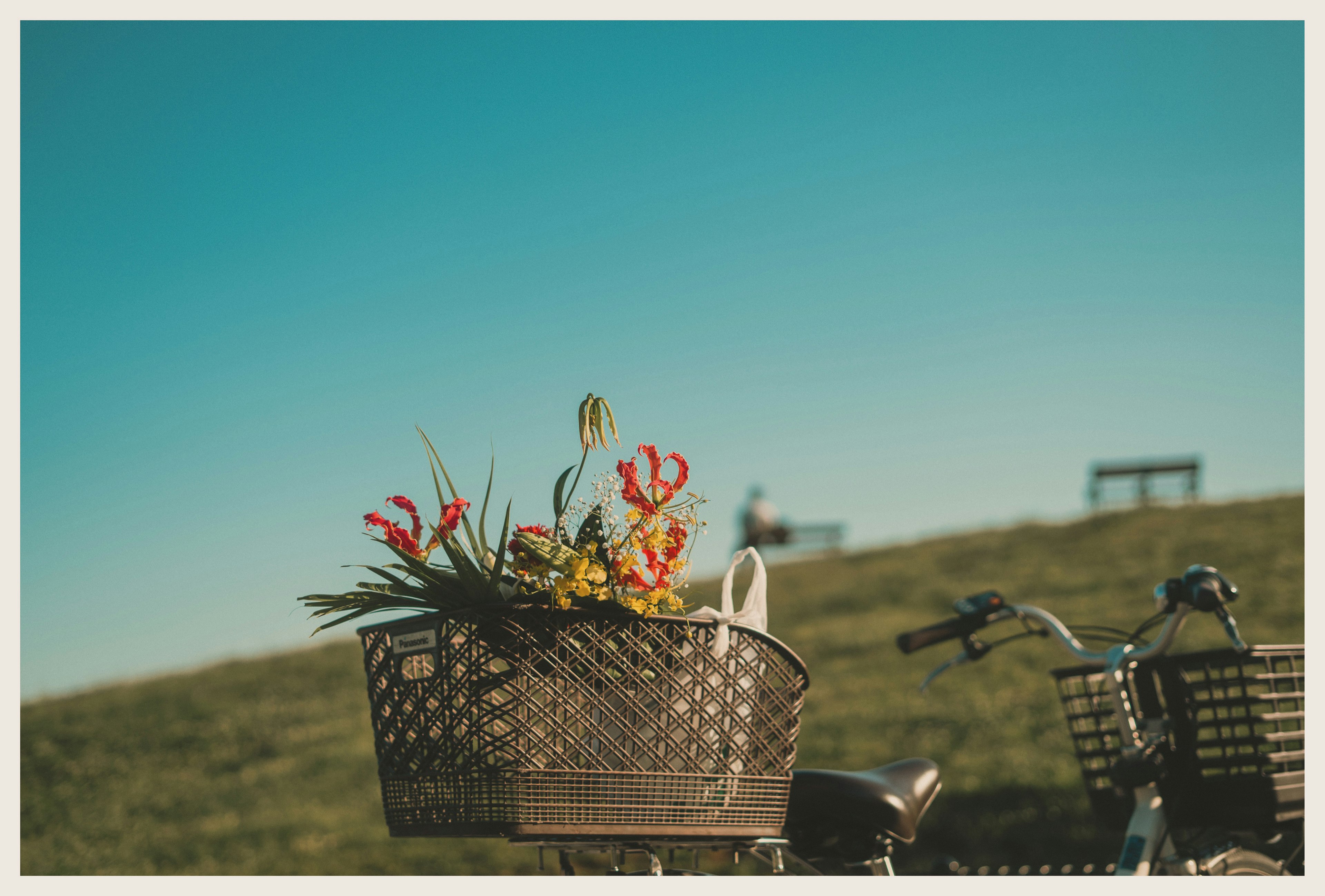 自転車のかごに花が詰め込まれた風景晴れた空の下でのんびりした雰囲気