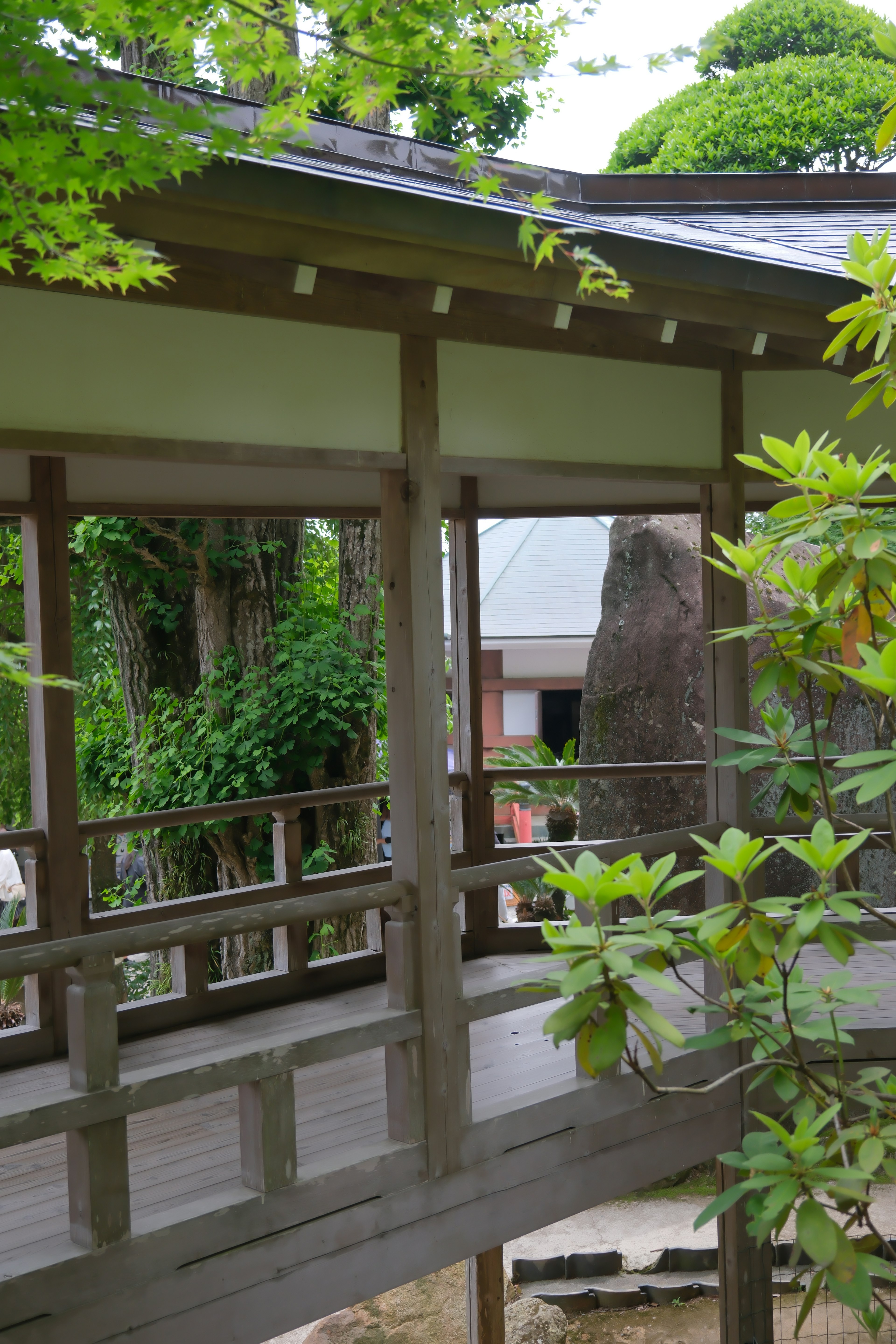 Wooden bridge in a Japanese traditional garden surrounded by green plants