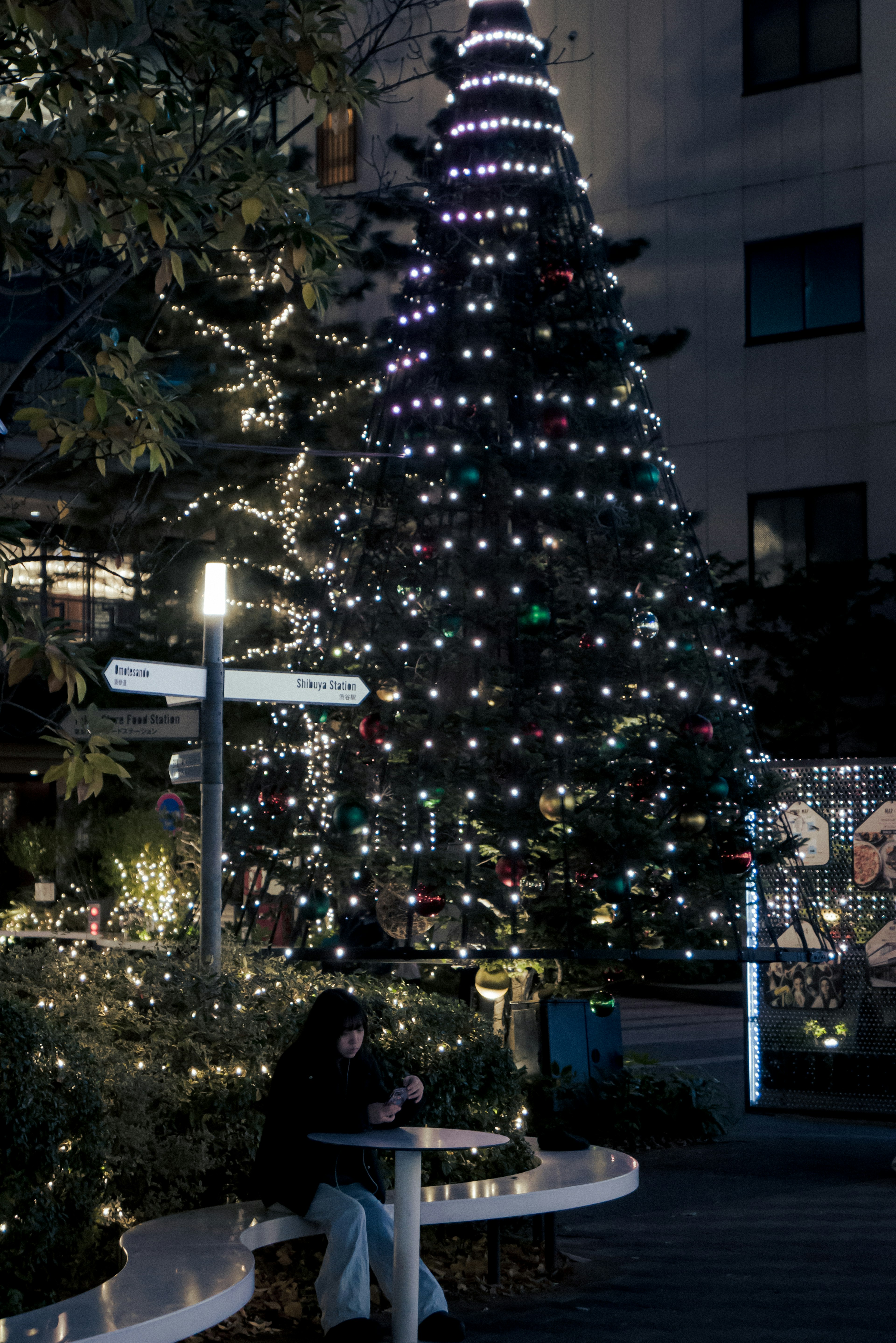 Árbol de Navidad iluminado por la noche con una persona sentada en un banco