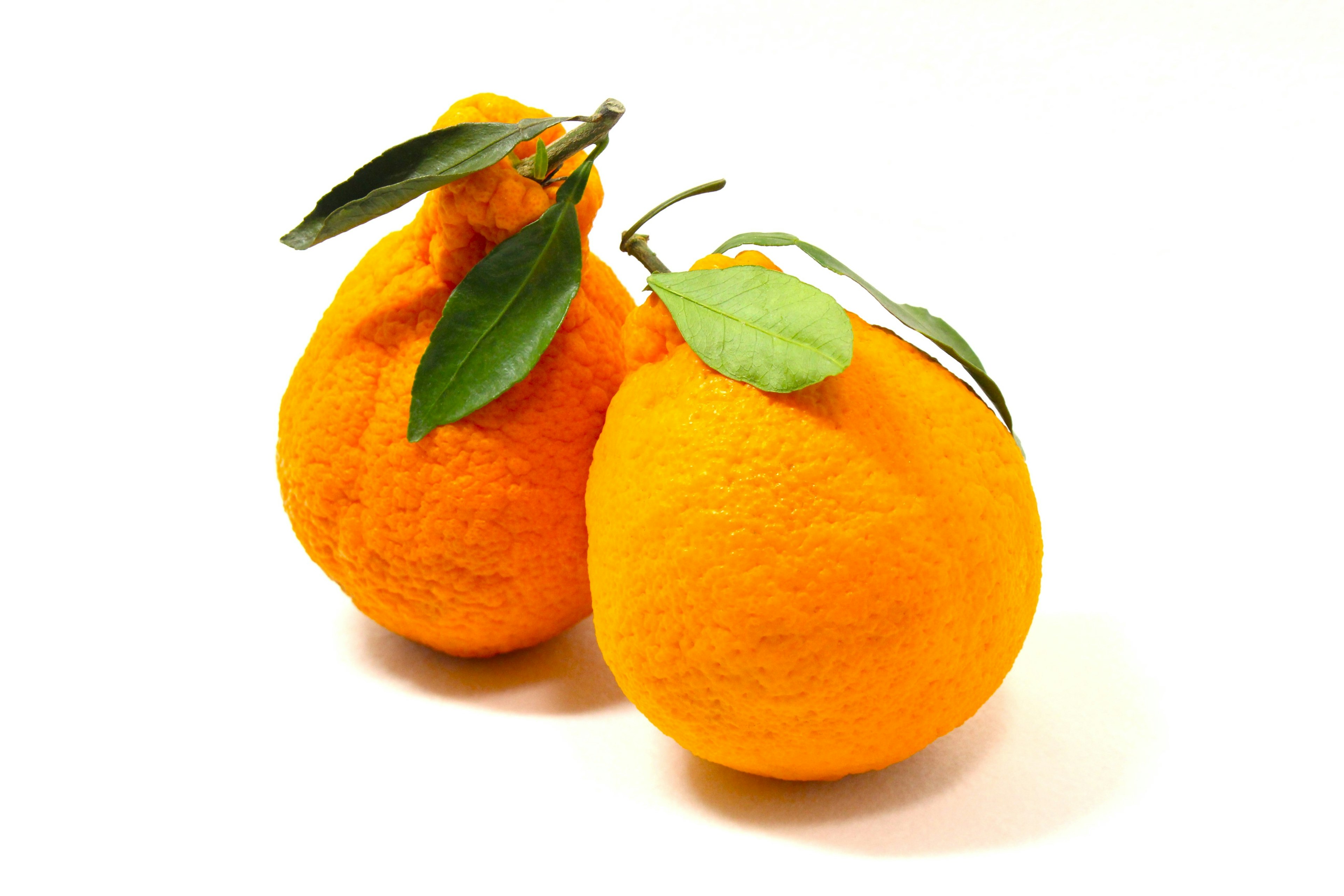 Two orange fruits with green leaves