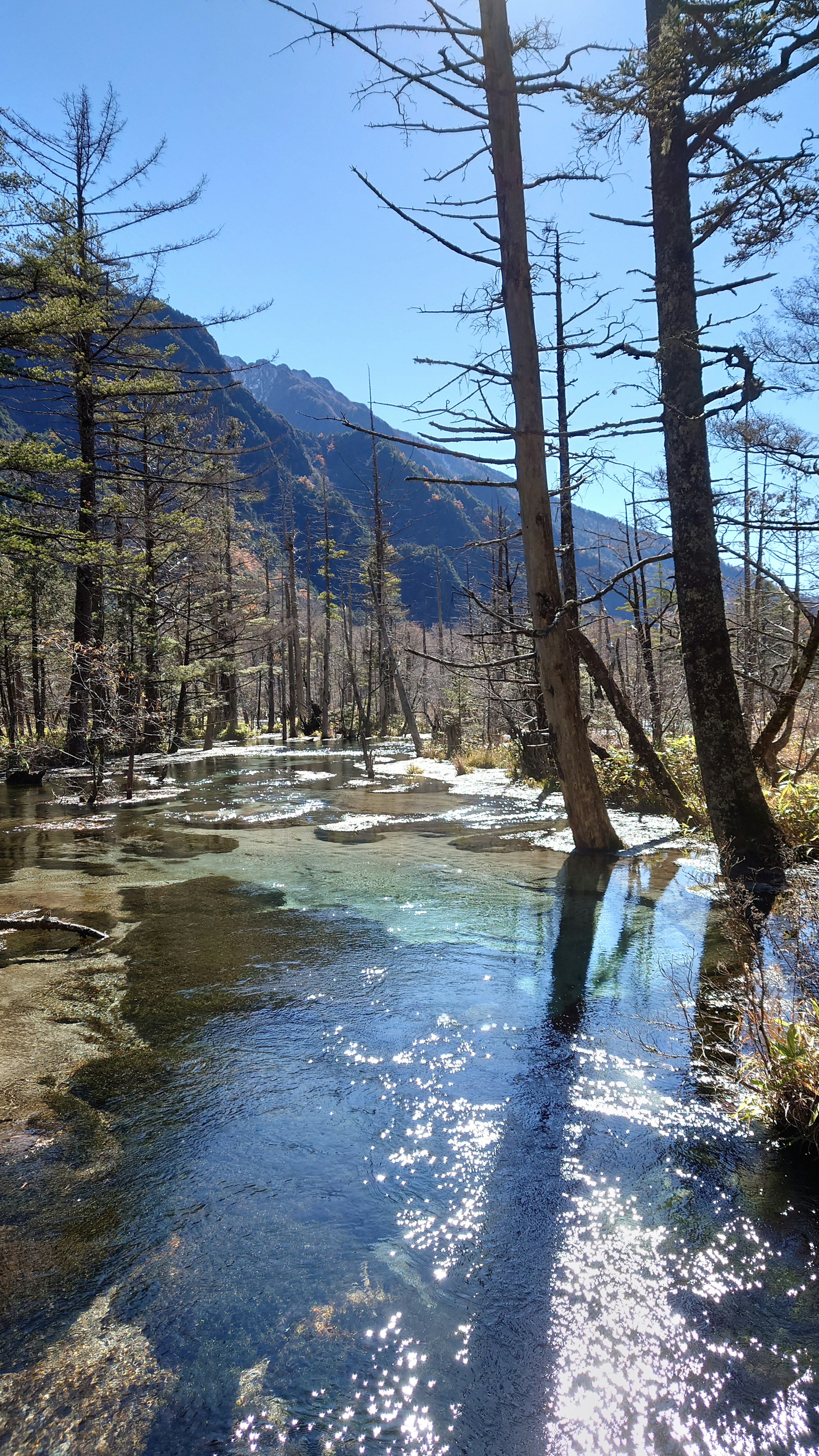 Malersicher Blick auf einen Fluss mit klarem Wasser umgeben von Bäumen und Bergen