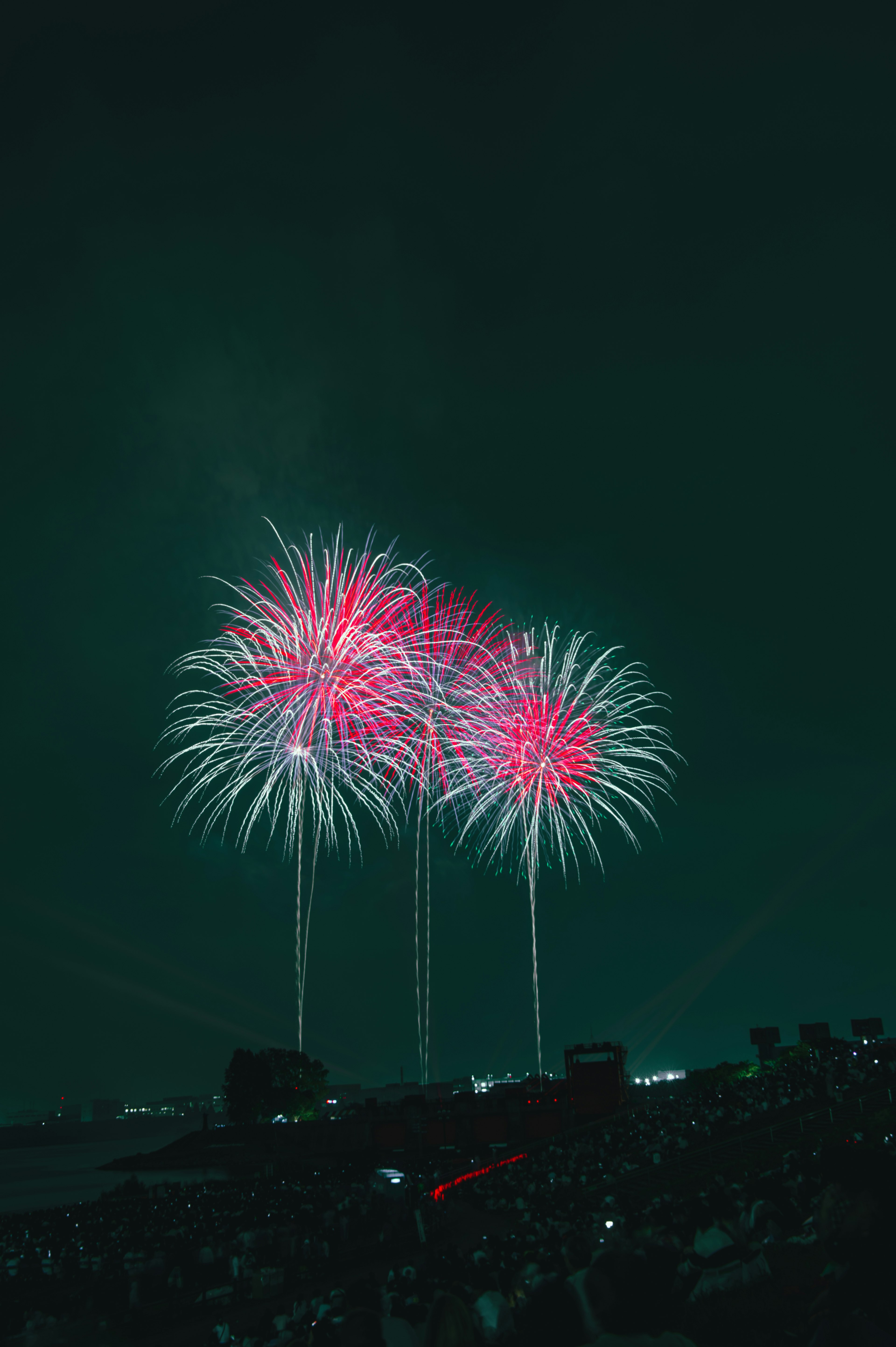 夜空に咲く鮮やかな花火の束赤と白の色彩