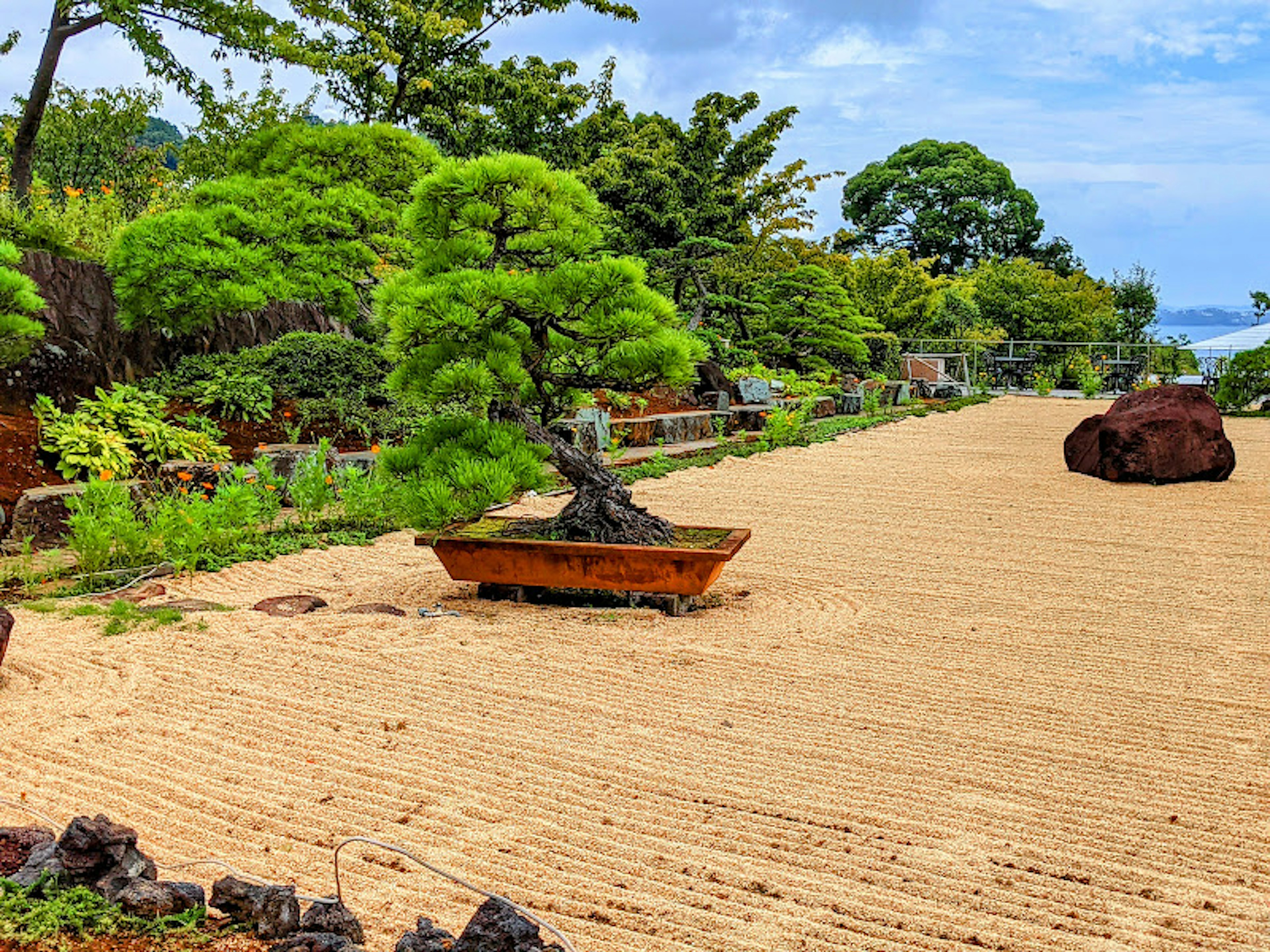 美しい日本庭園の一部で、盆栽と砂の道が特徴的な風景