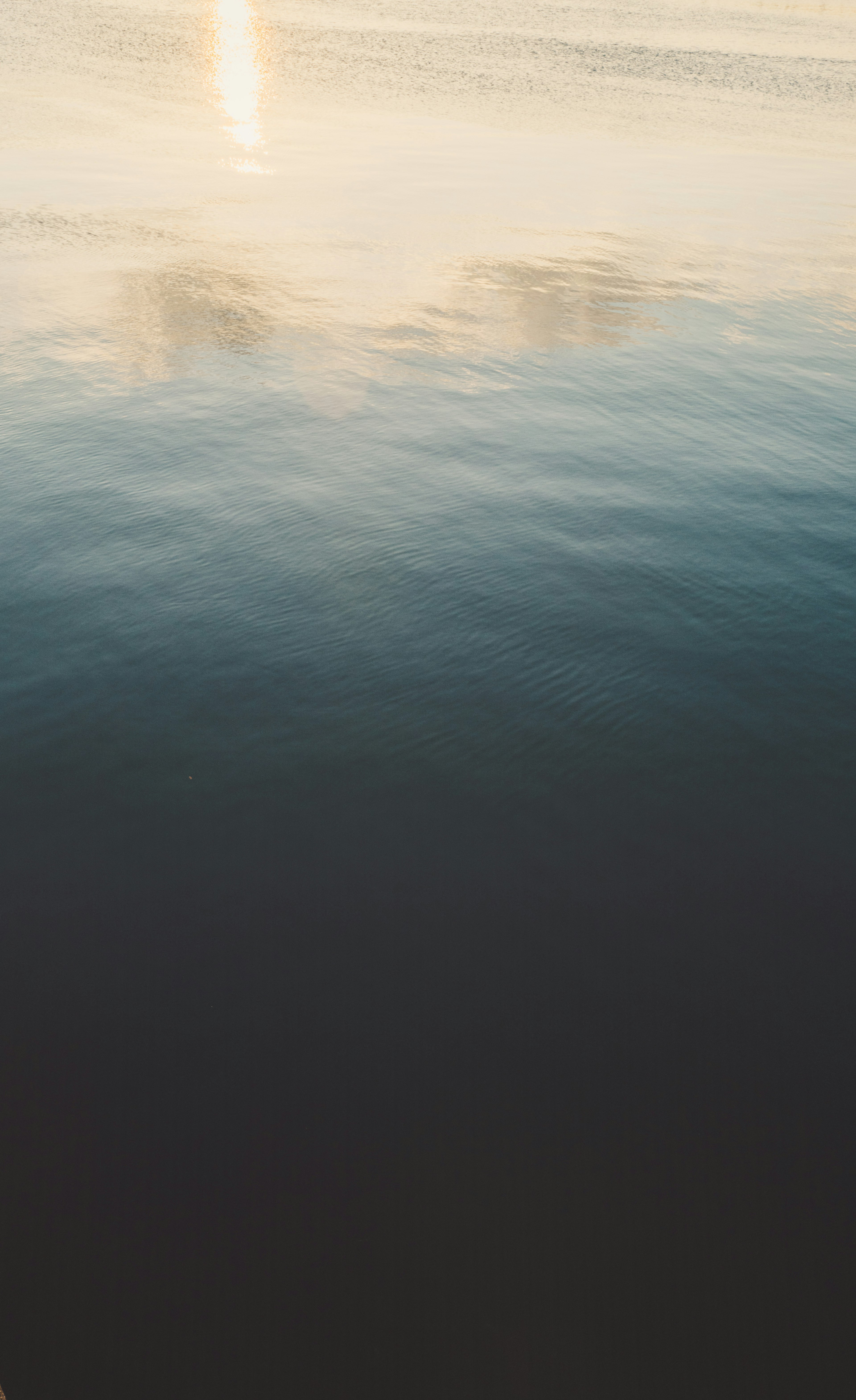 Calm water surface with soft light reflections