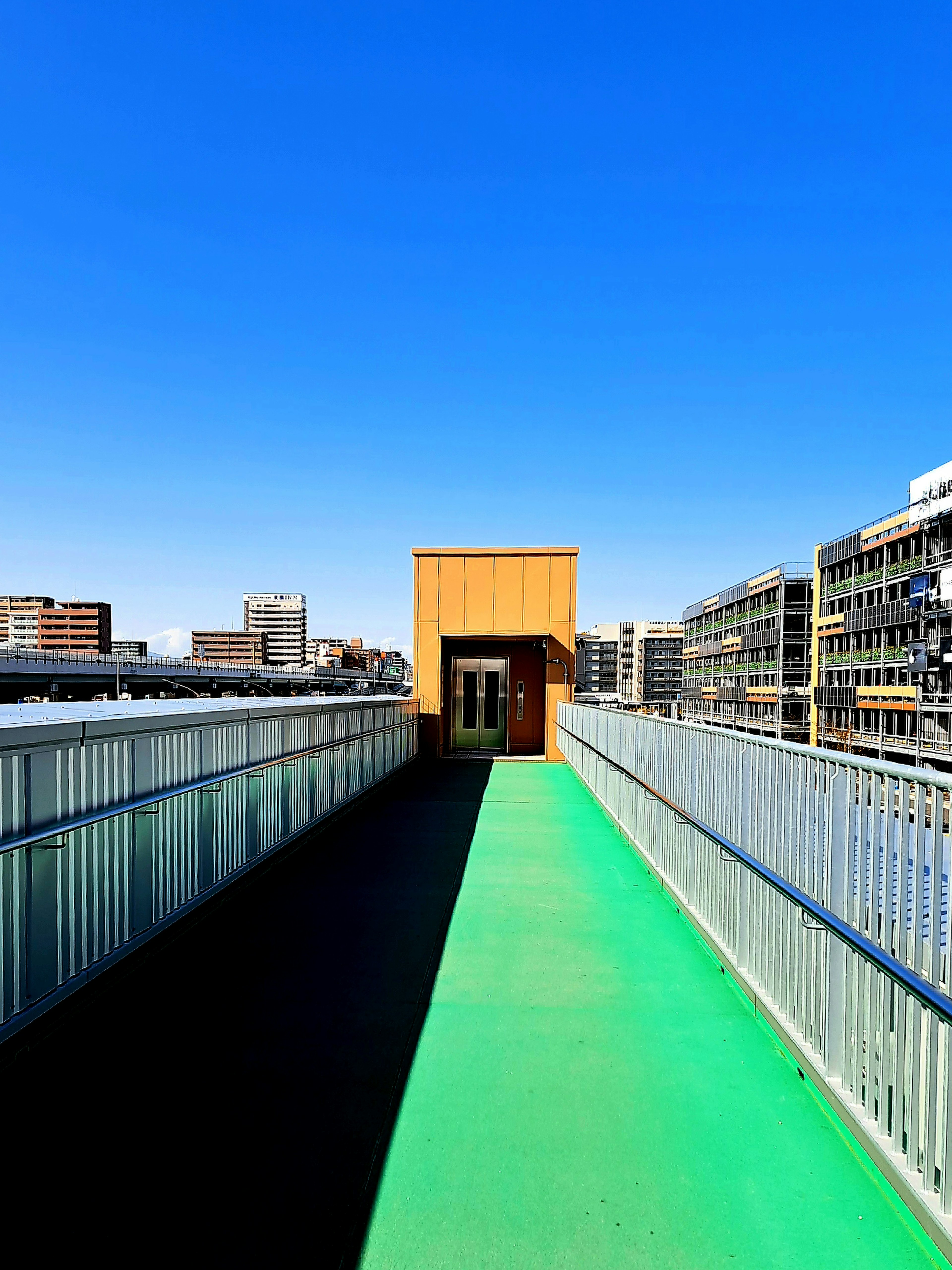 Green walkway leading to a building entrance under a blue sky