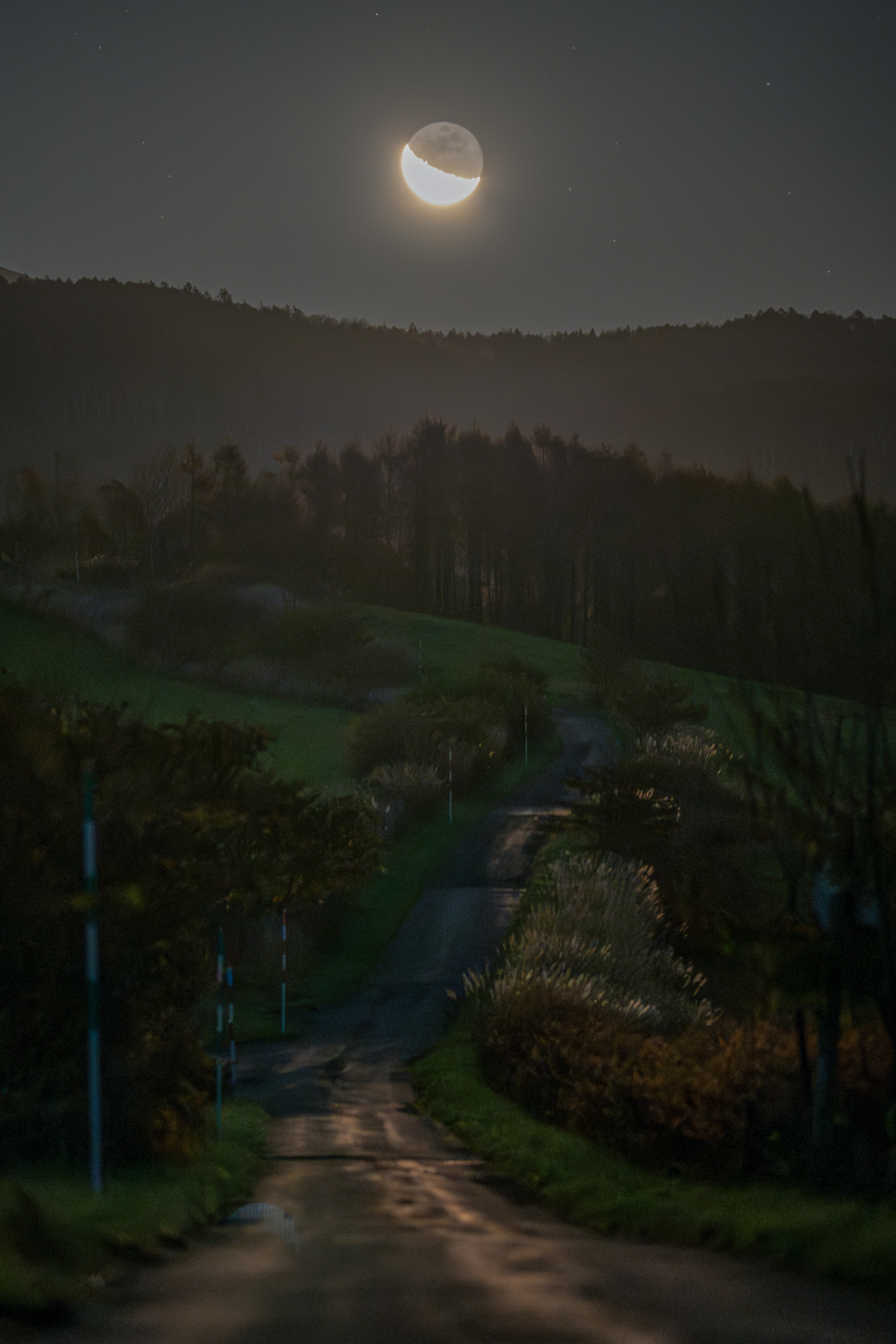 Strada di campagna illuminata dalla luce della luna con colline sullo sfondo