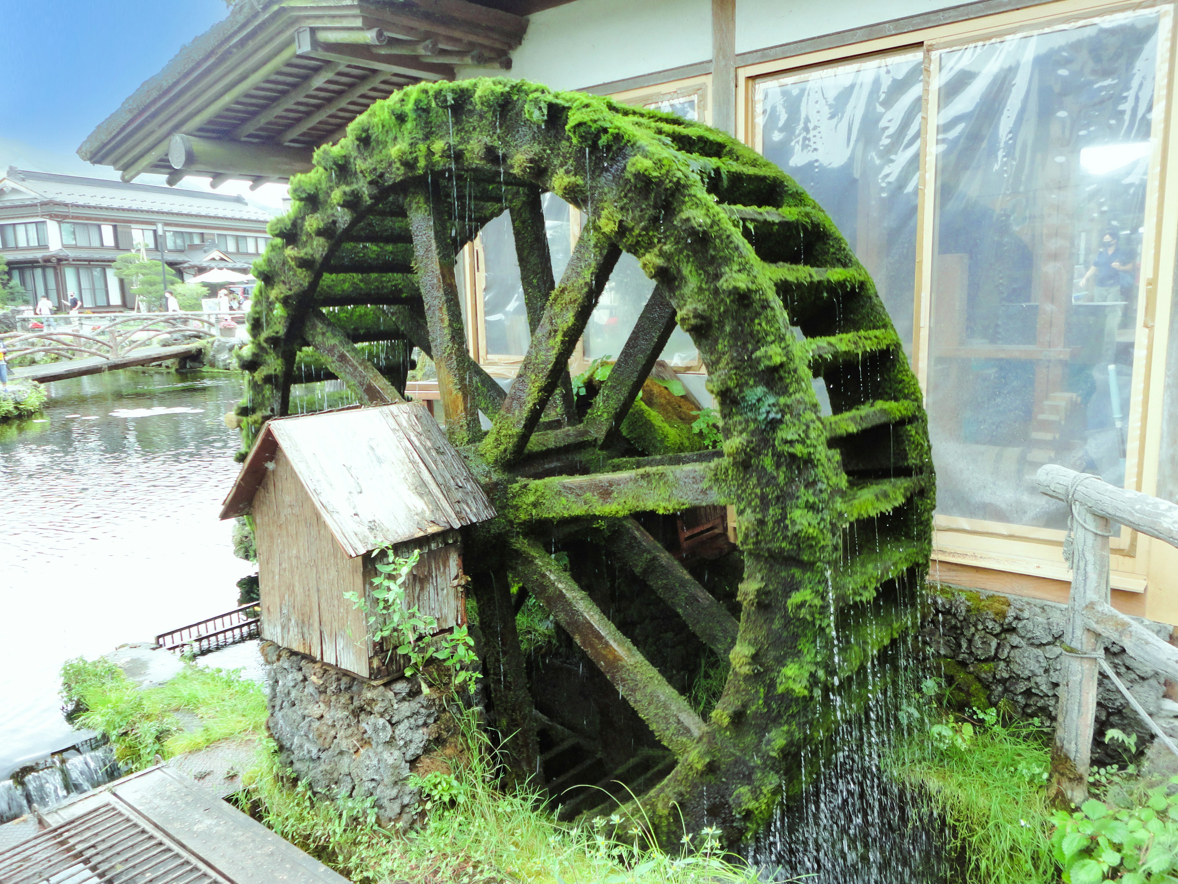 Roue à eau couverte de mousse verte à côté d'un étang tranquille