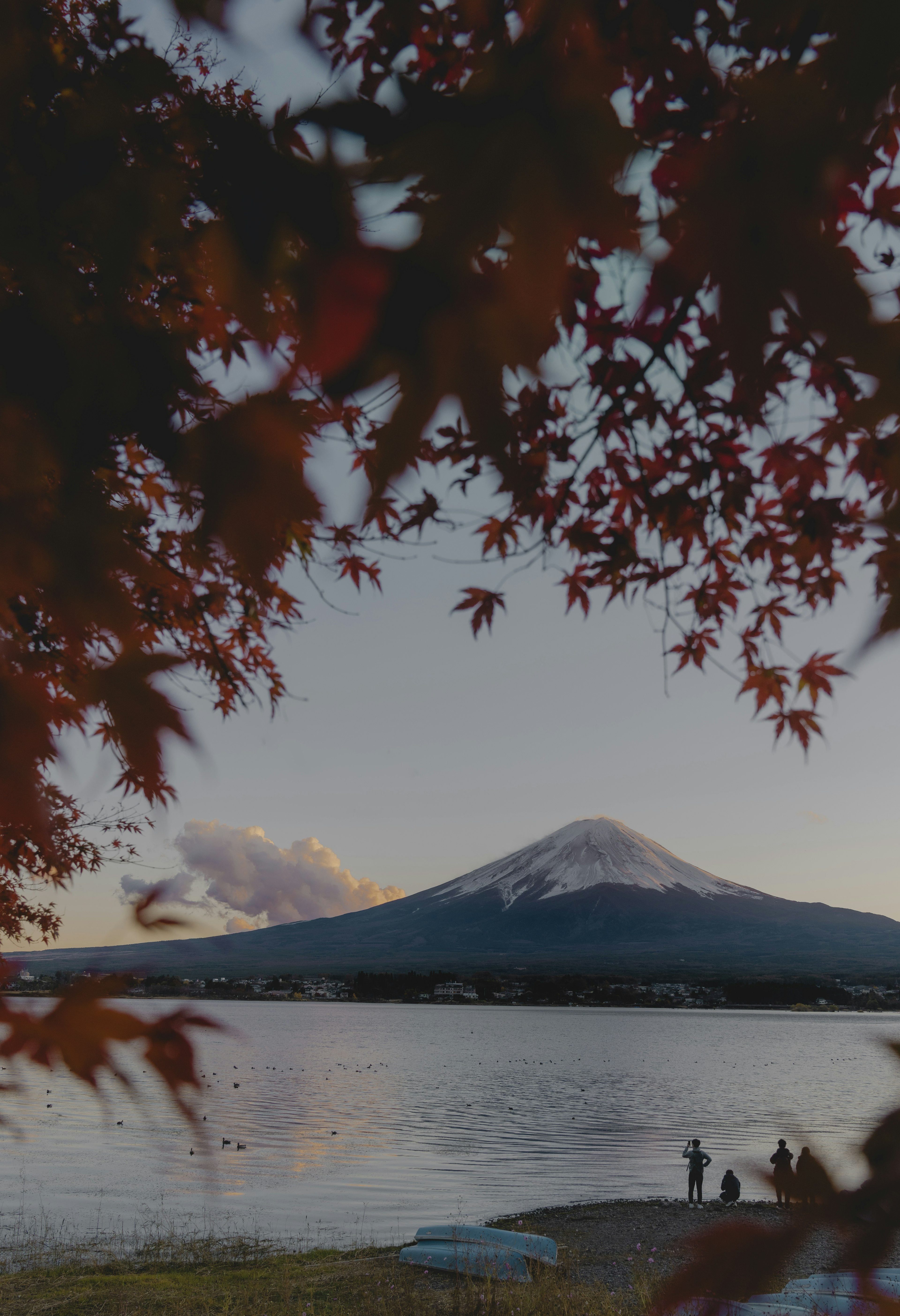 Vista escénica del monte Fuji enmarcada por hojas de otoño