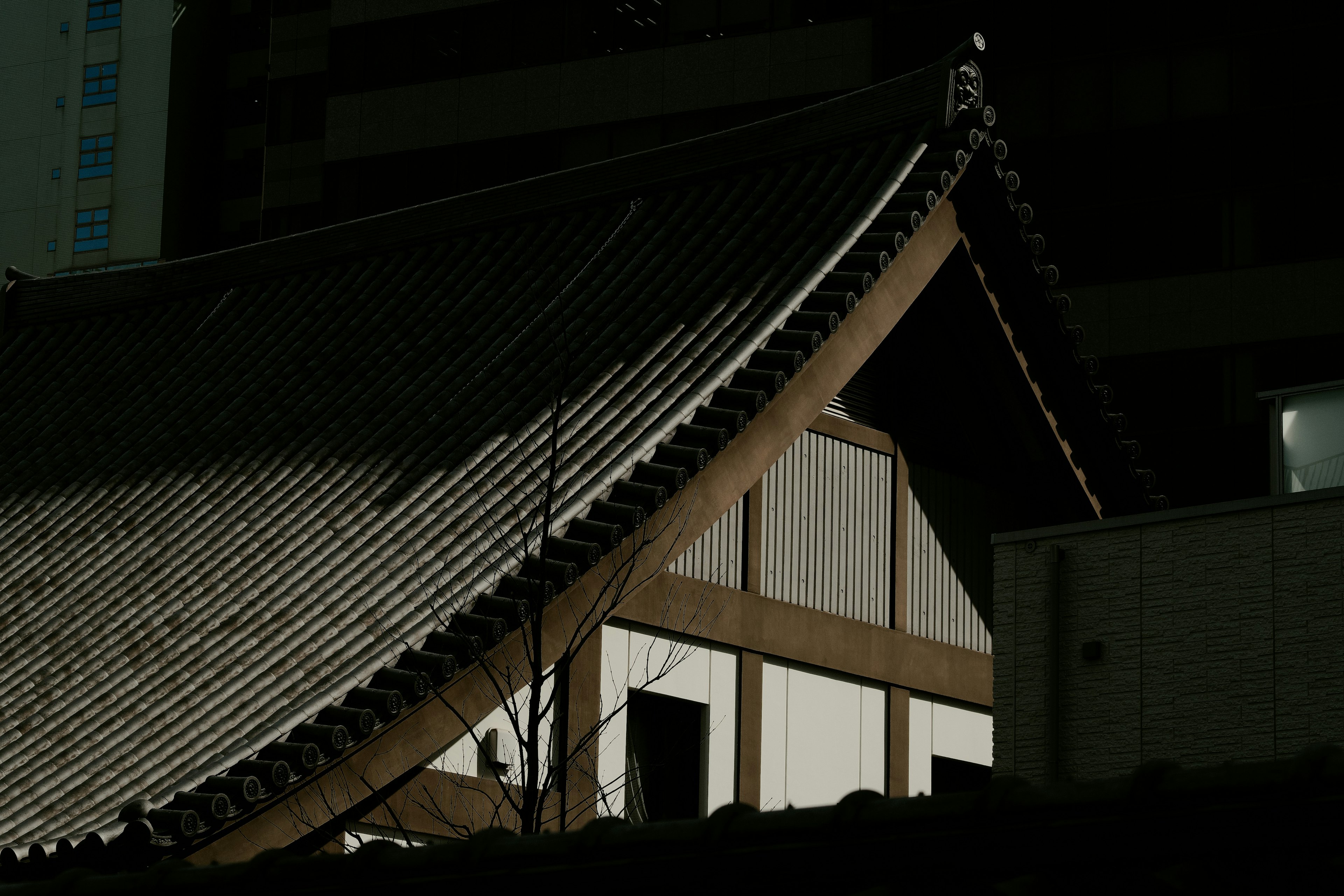 Traditional Japanese roof illuminated against a dark background