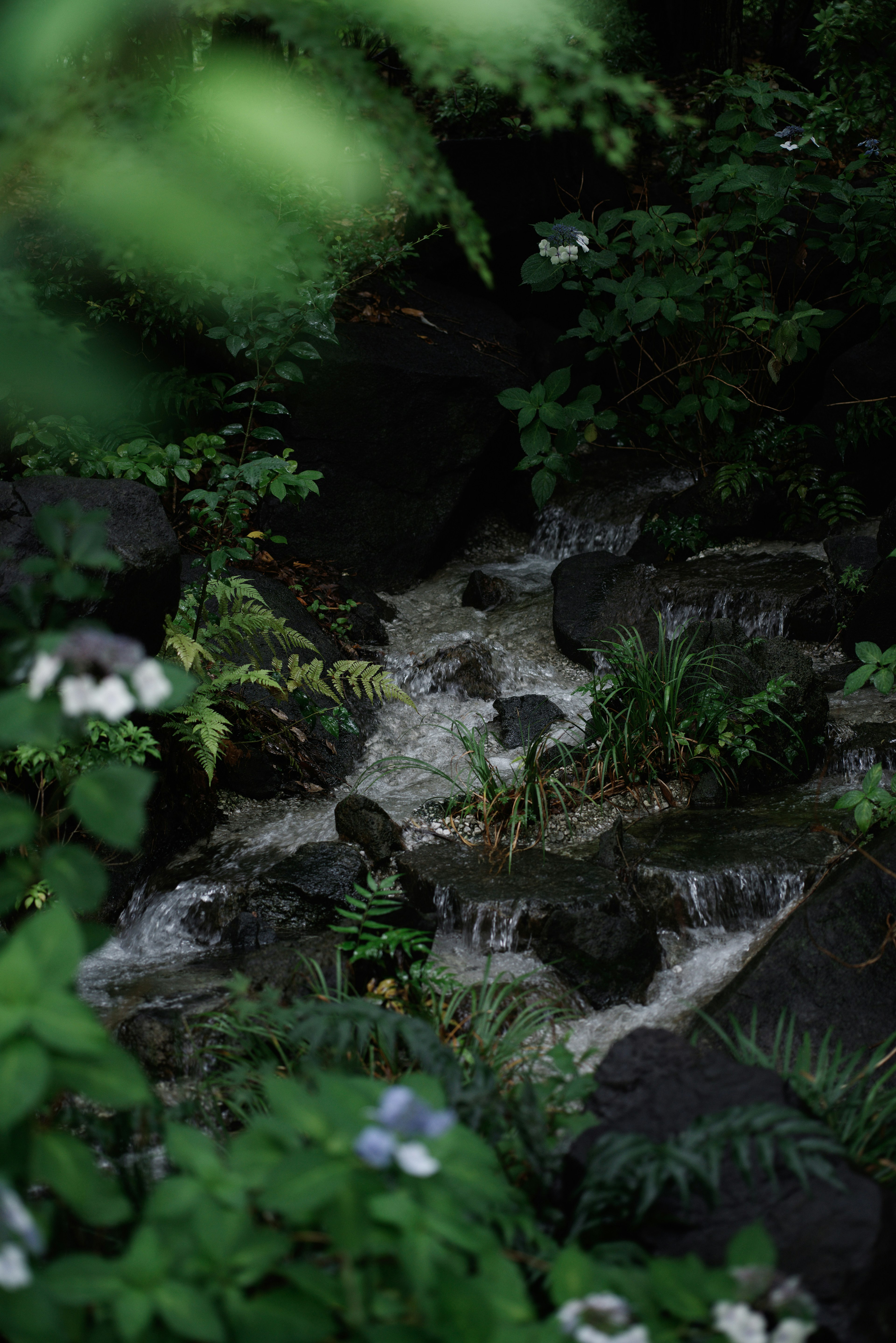 A serene stream flowing through a lush green environment