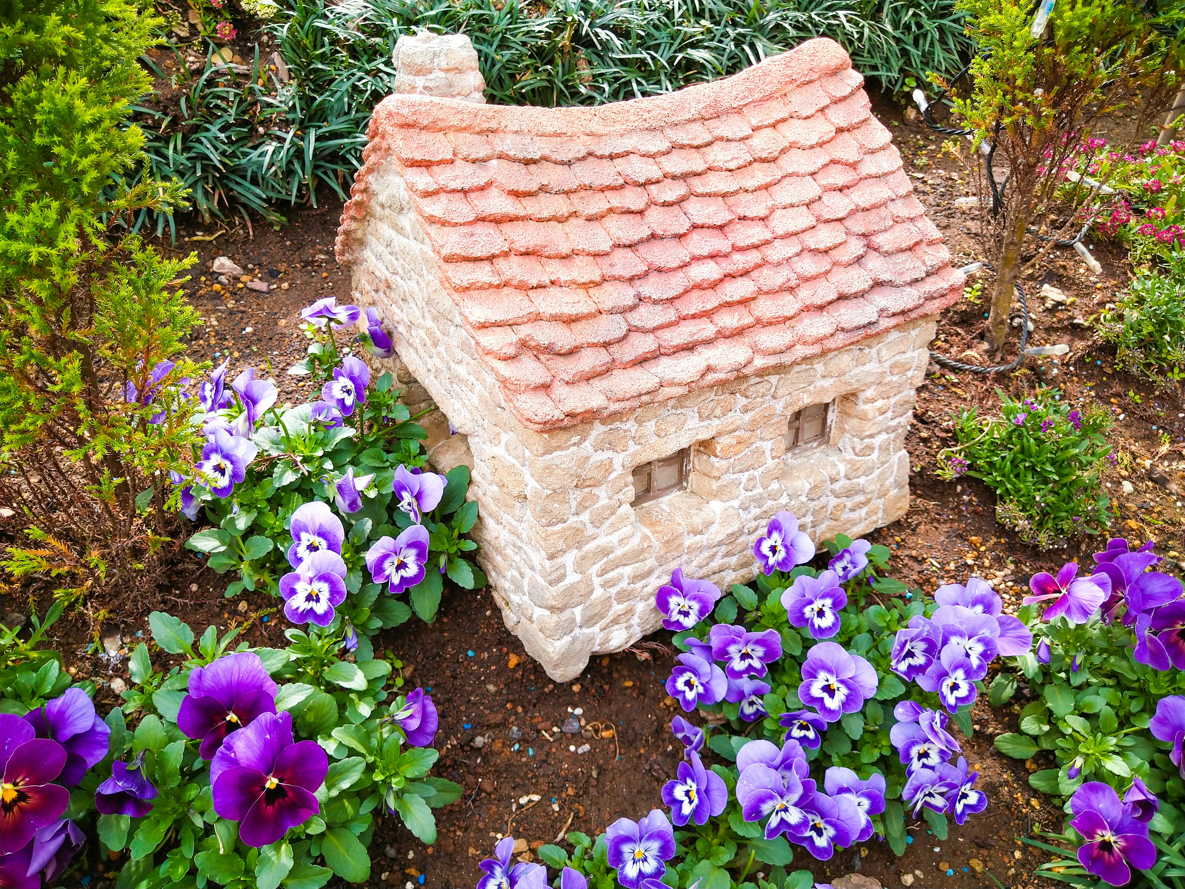 Small stone house surrounded by purple pansies in a garden setting