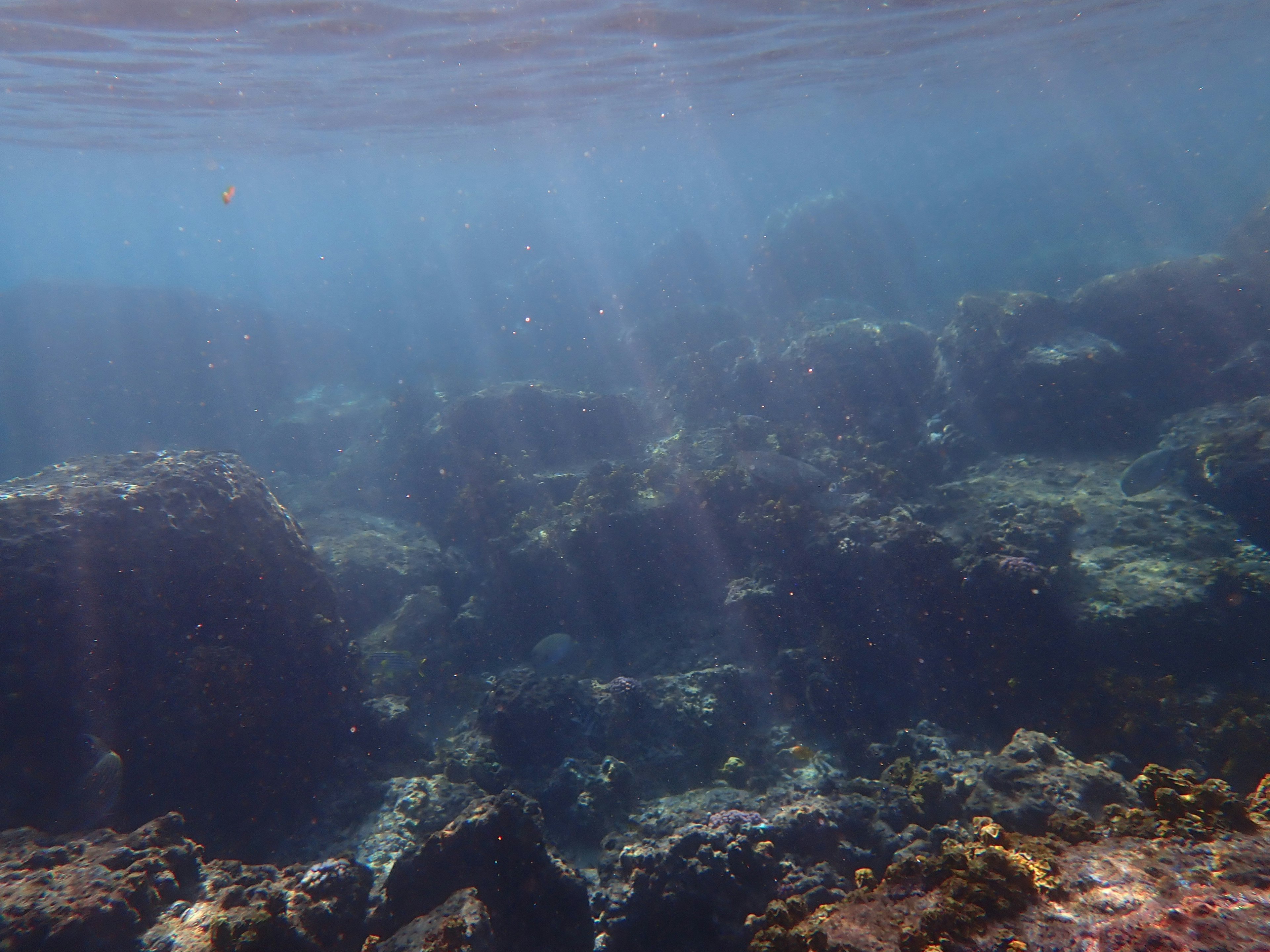 水中の岩礁と光の筋が映し出された美しい海の景色