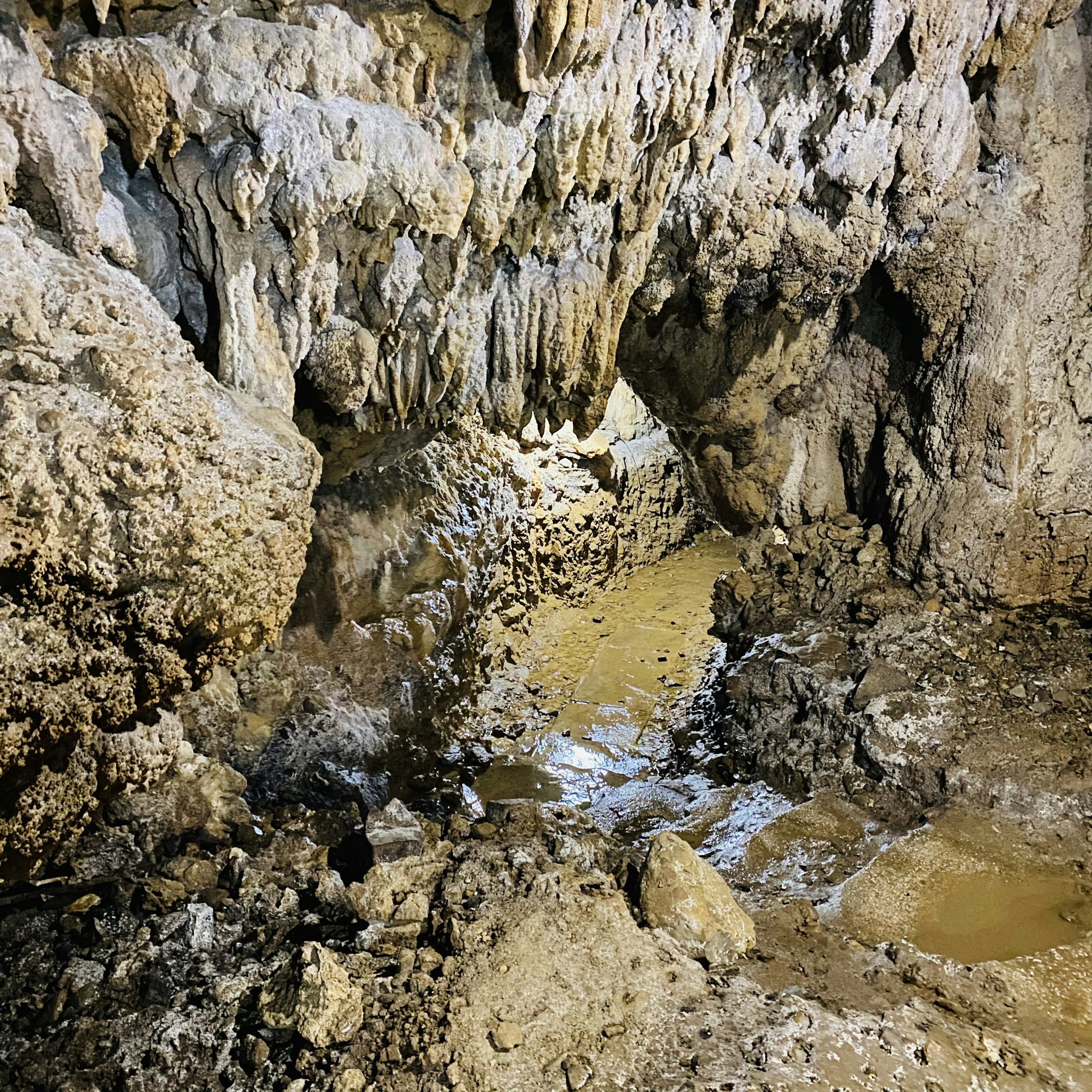 Vue de l'intérieur d'une grotte avec des rochers et des flaques d'eau