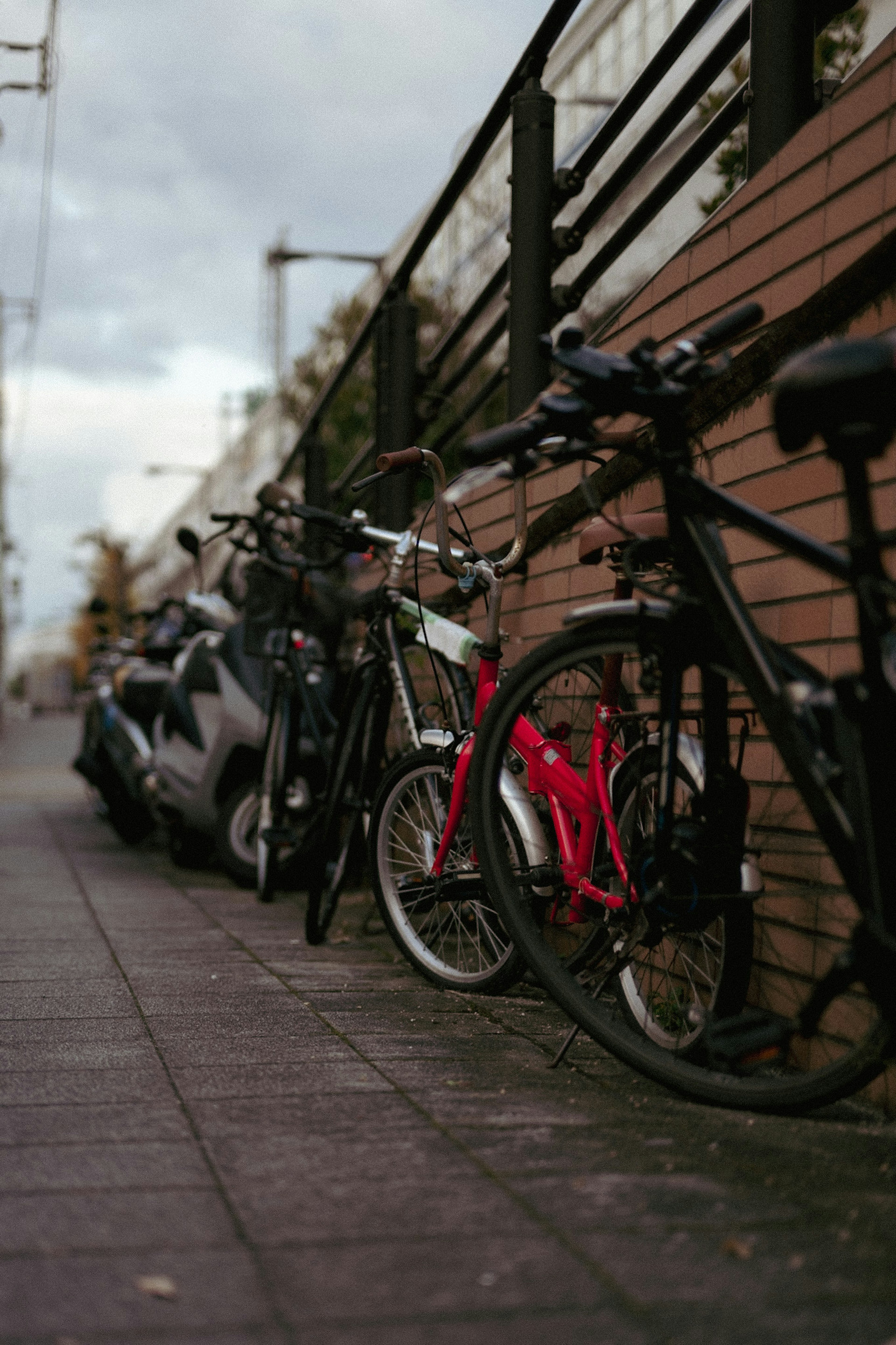 Row of bicycles and a motorcycle parked along a street