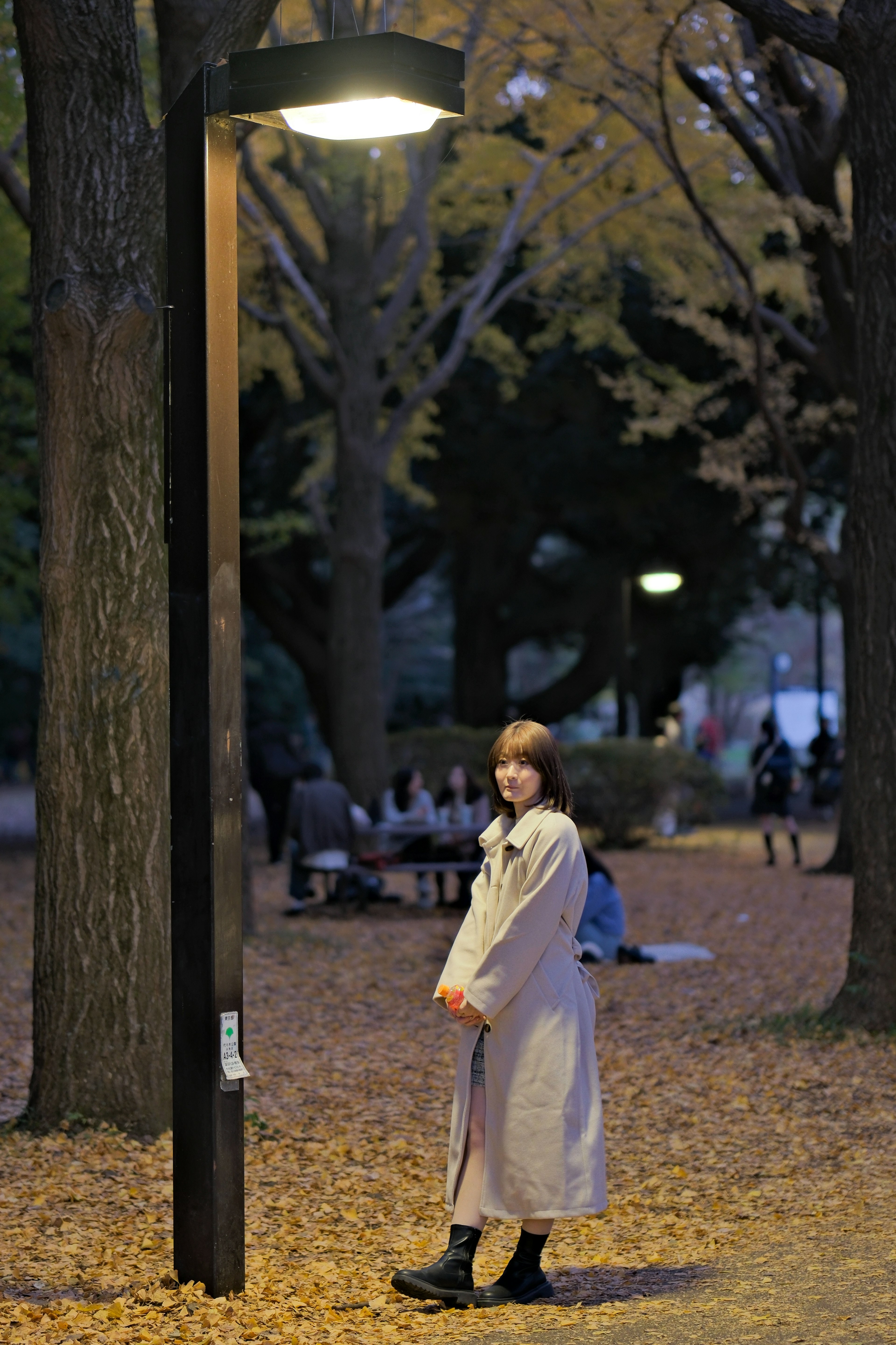 秋の公園で街灯の下に立つ女性の写真