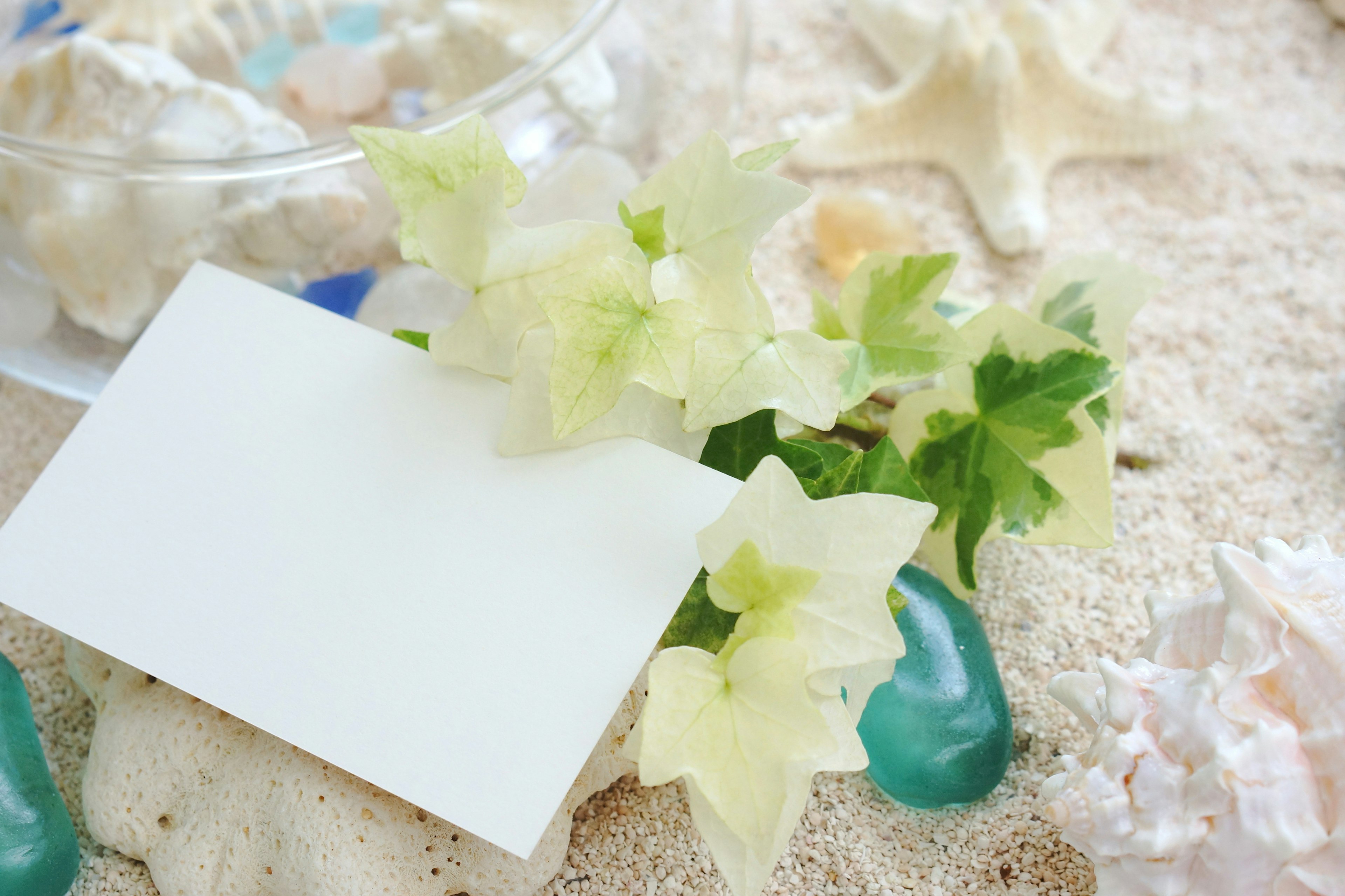 Carte blanche avec des feuilles vertes et des coquillages sur la plage de sable